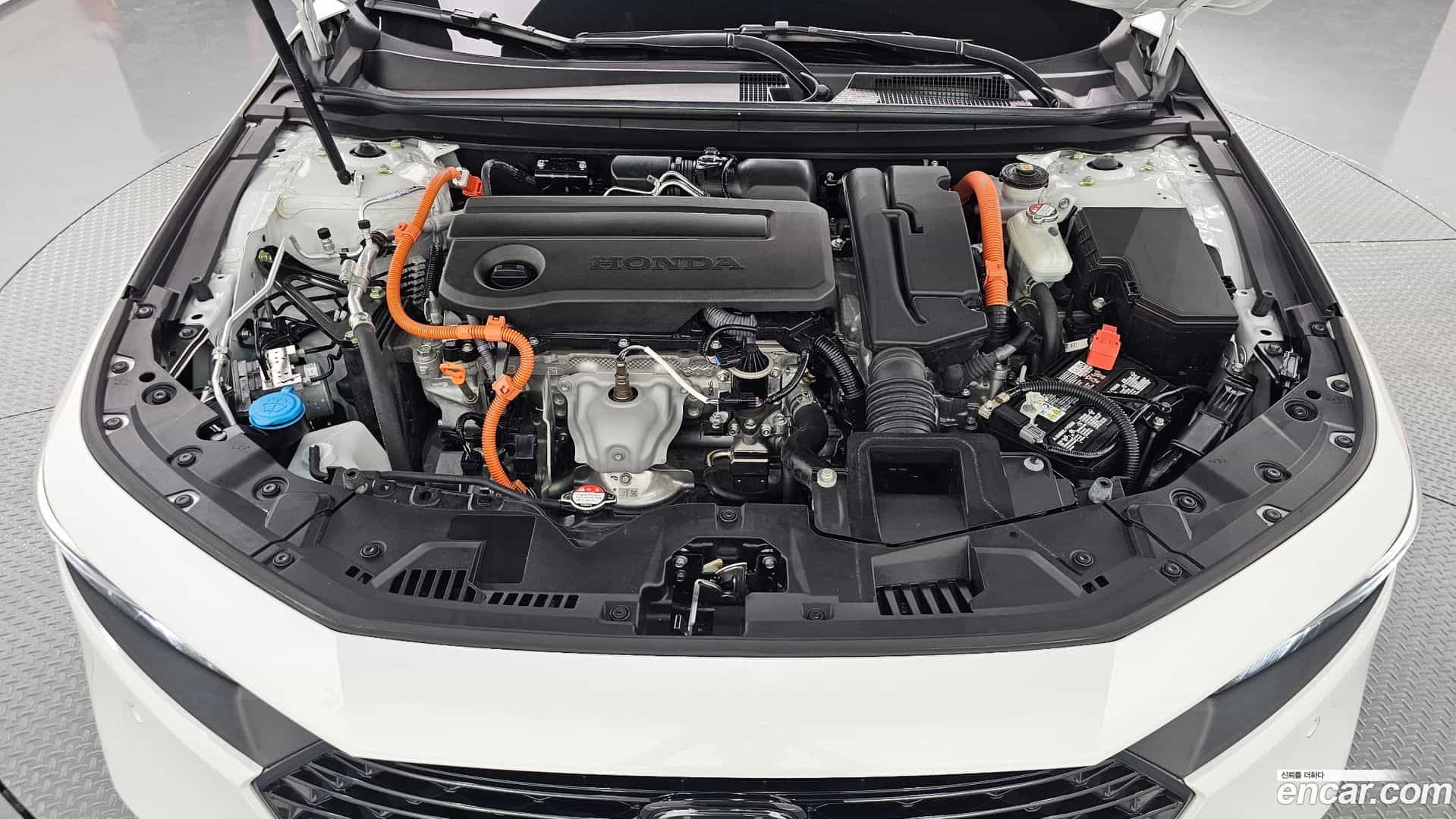 Accord Honda 2024.11-OUTER-006