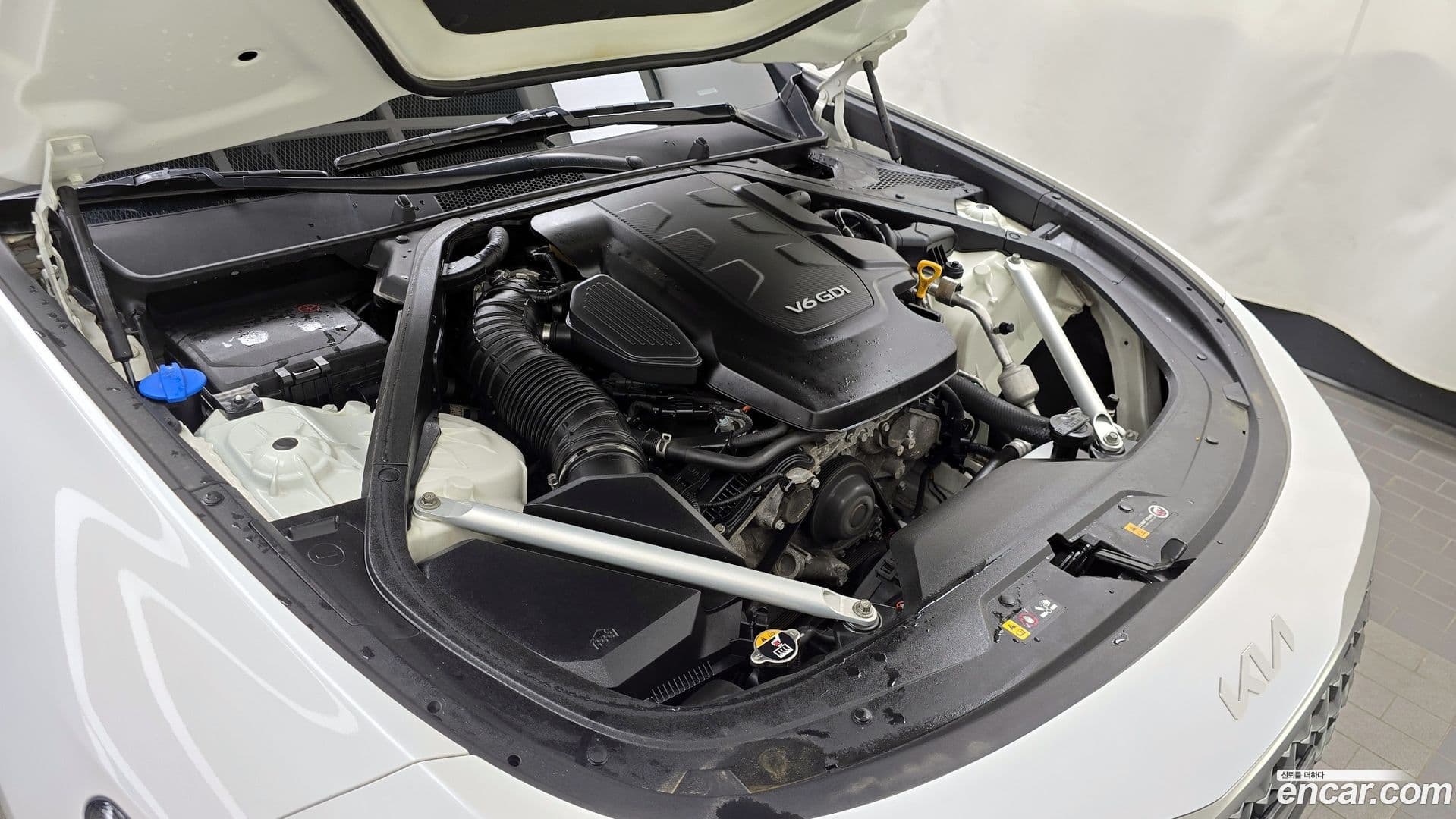 Main__Slider__Photo:K9 Kia 2021.9-5