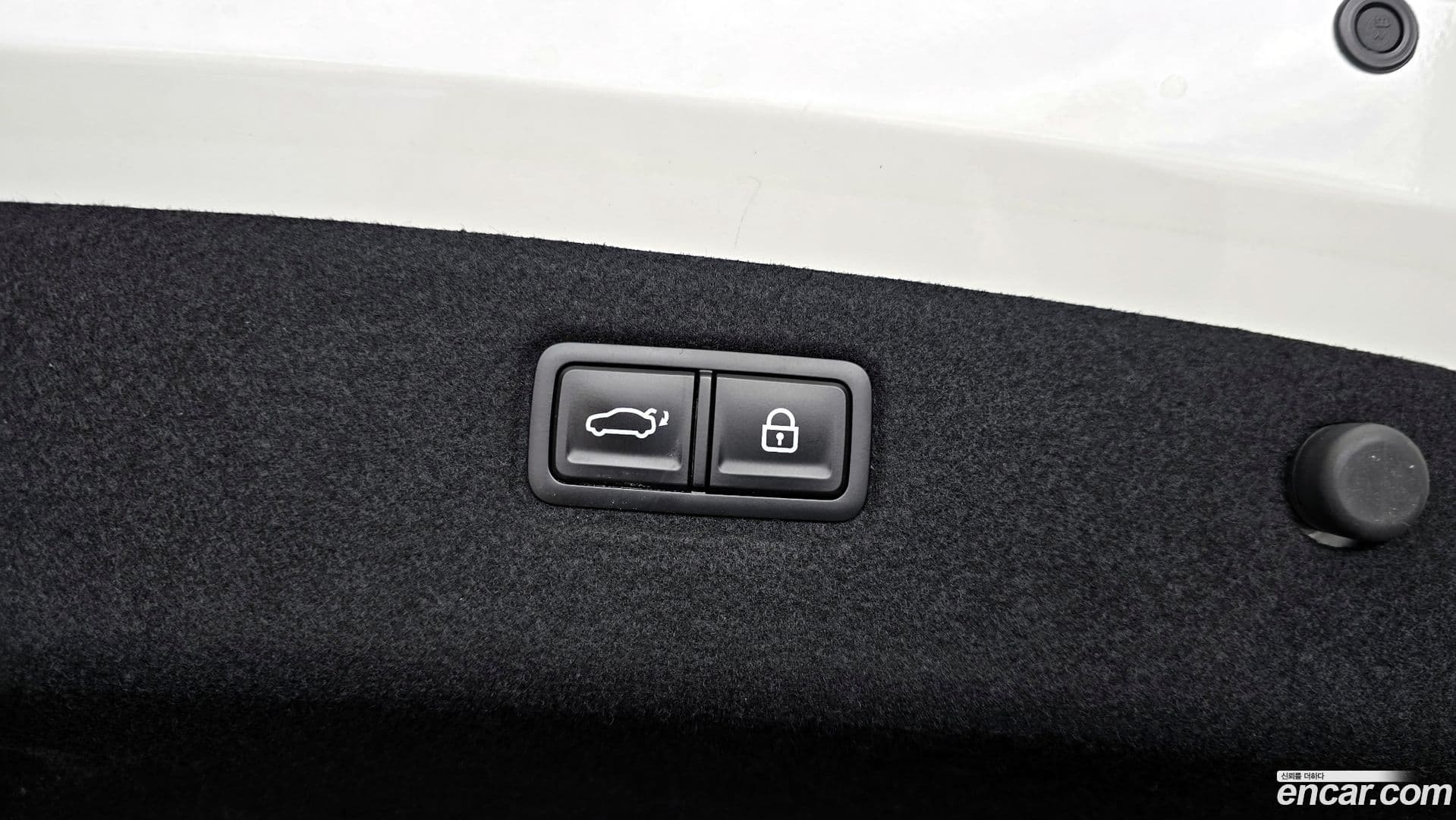 Main__Slider__Photo:K9 Kia 2021.9-34