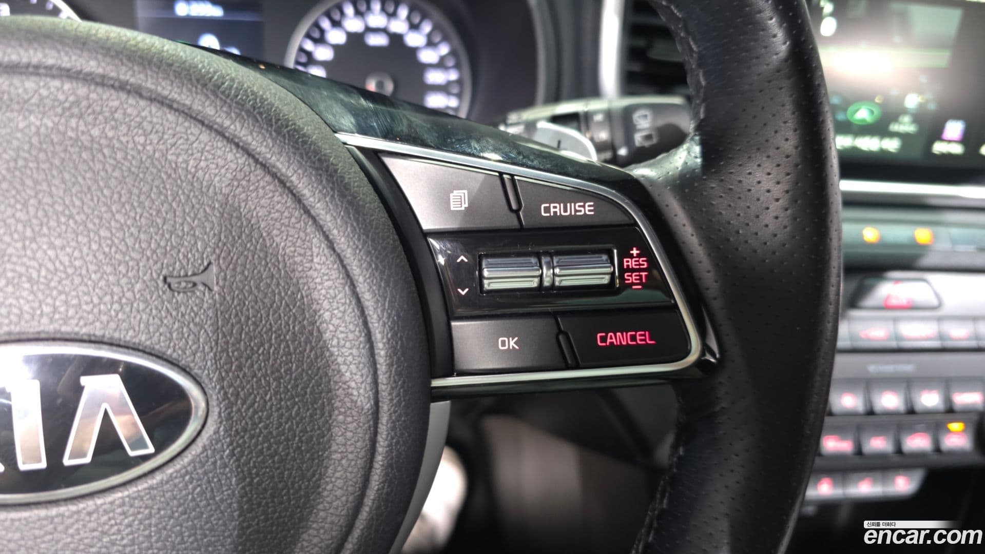 Main__Slider__Photo:Sportage Kia 2019.0-31