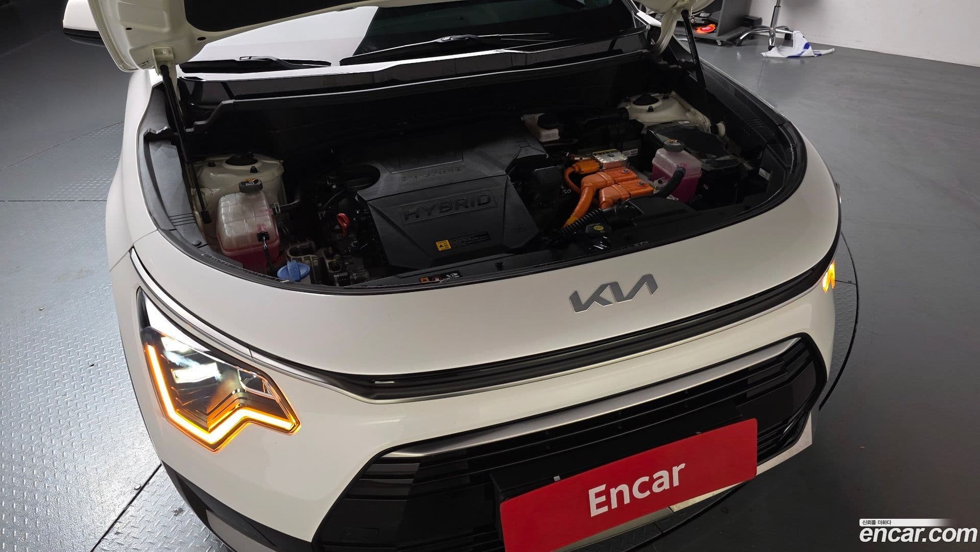 Main__Slider__Photo:Niro Kia 2022.6-5