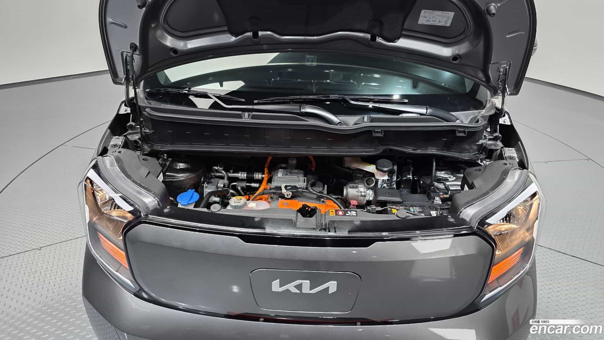 RAY Kia 2024.3-OUTER-006