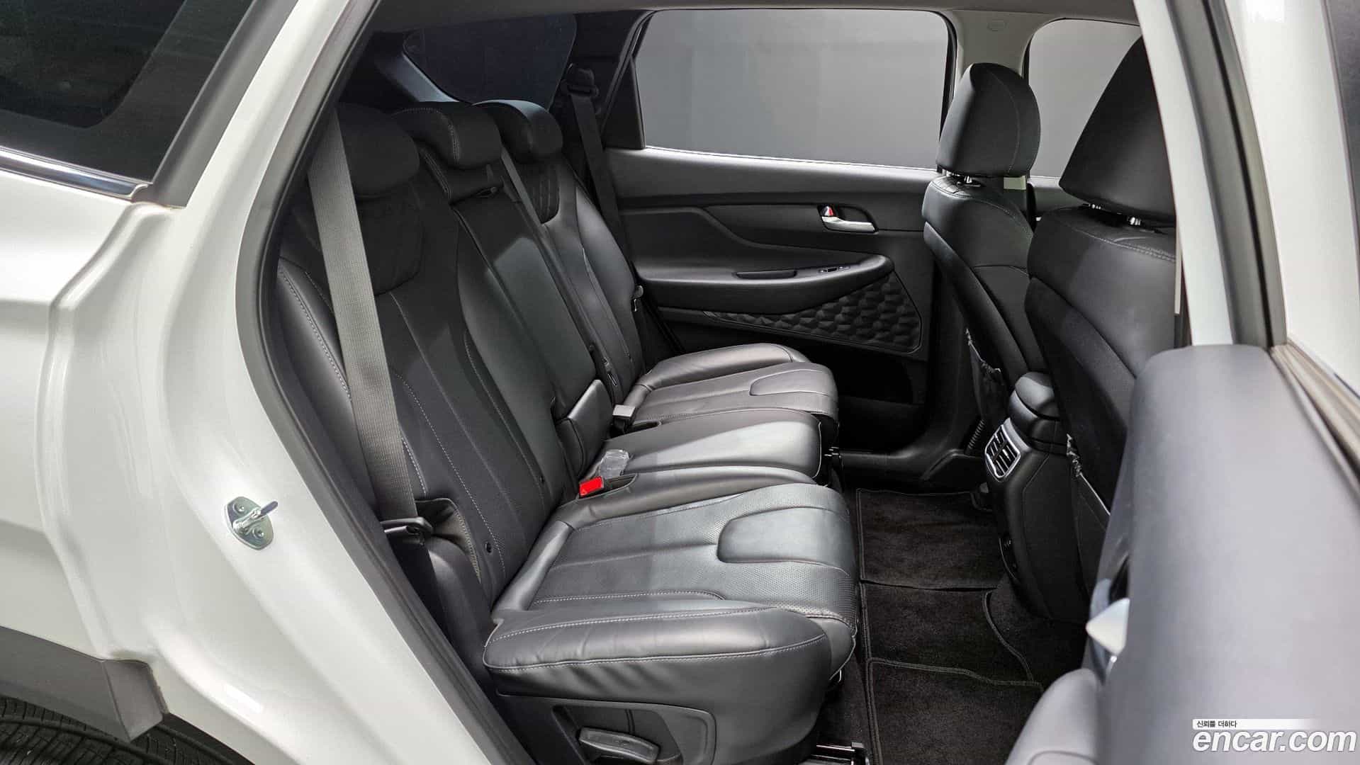 Santafe Hyundai 2022.11-OPTION-015