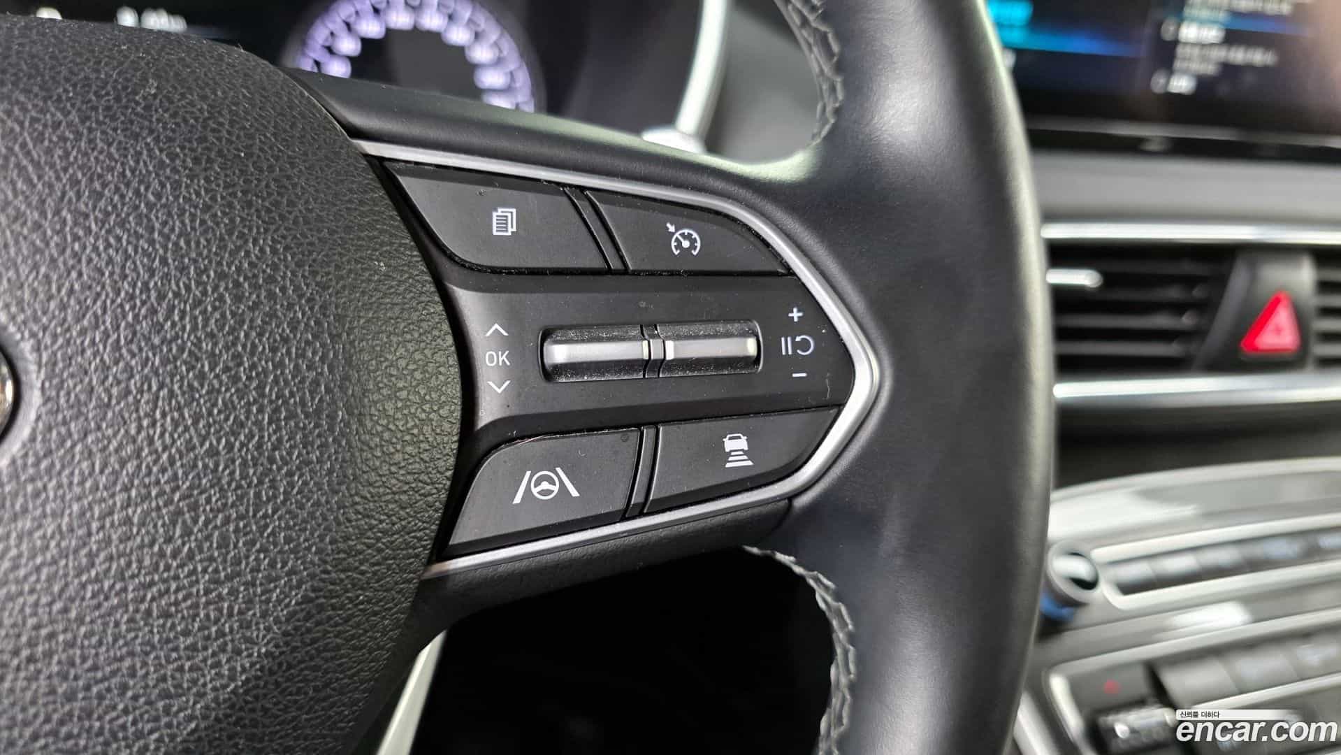 Santafe Hyundai 2022.11-OPTION-023