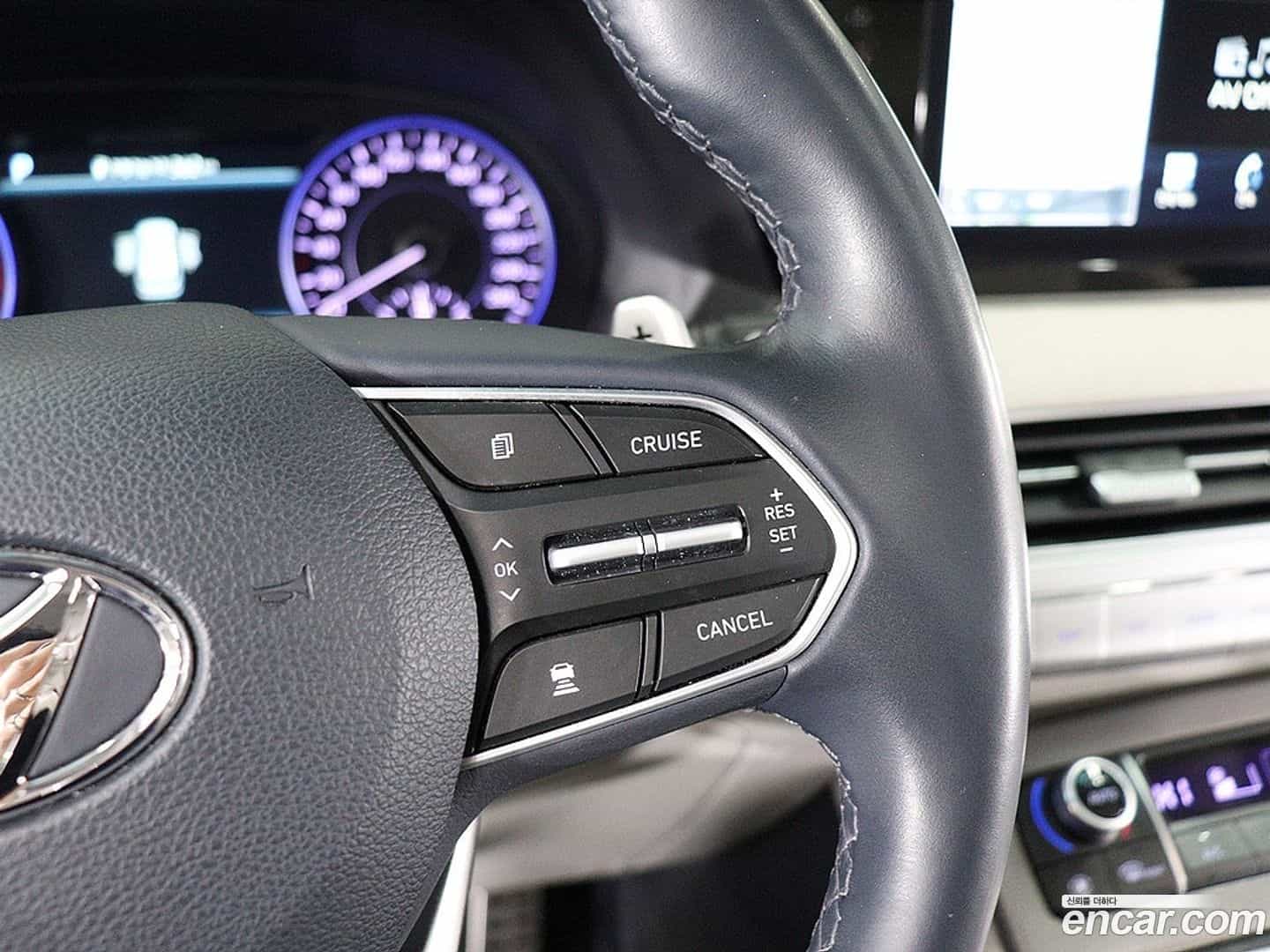 Palisade Hyundai 2019.1-OPTION-016