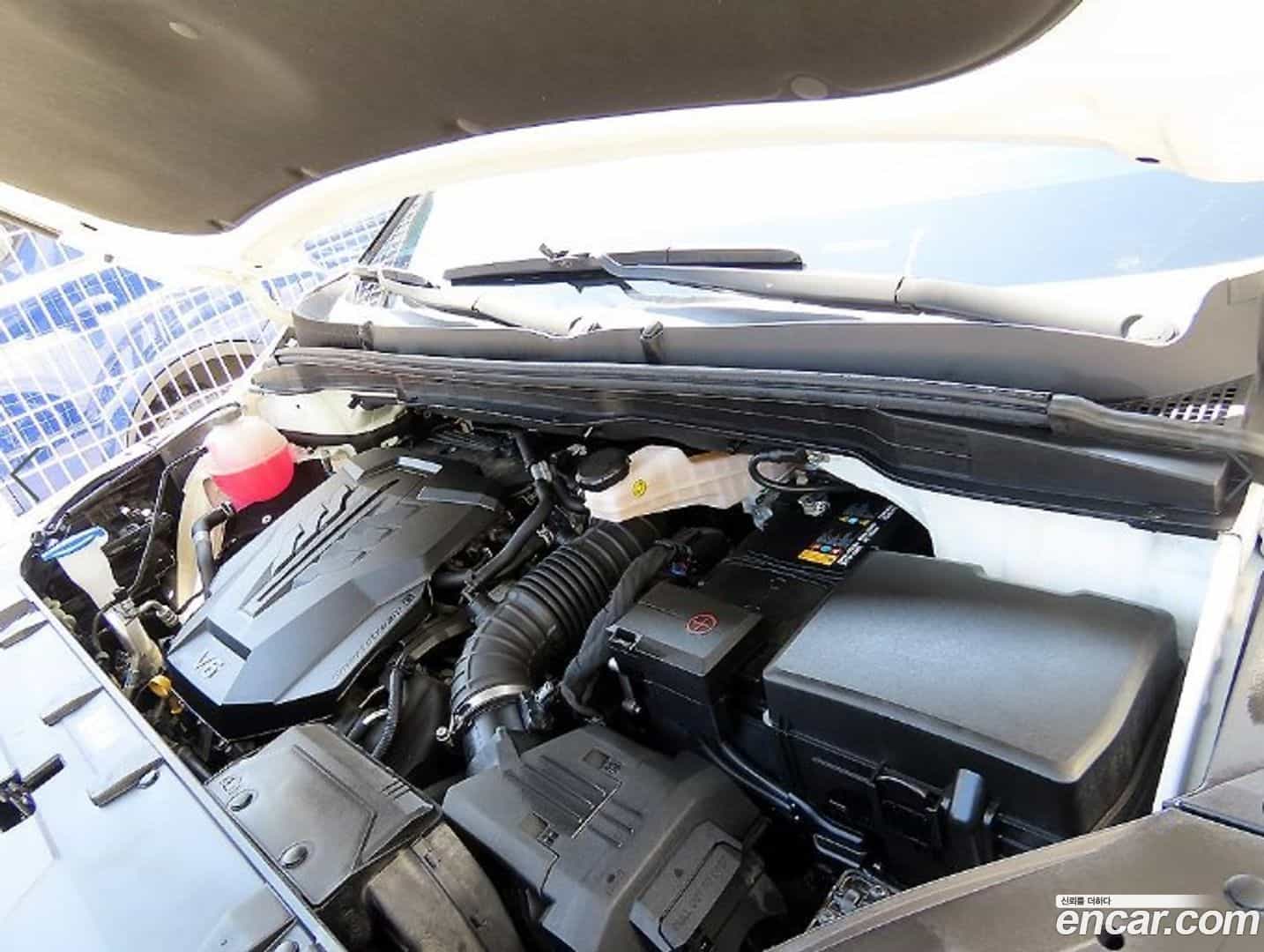 Canival Kia 2022.10-OPTION-023