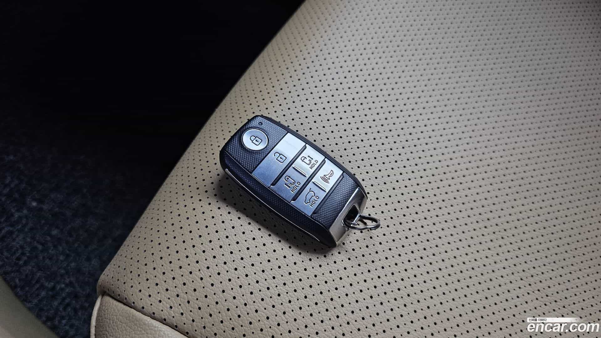 Canival Kia 2018.7-OPTION-021