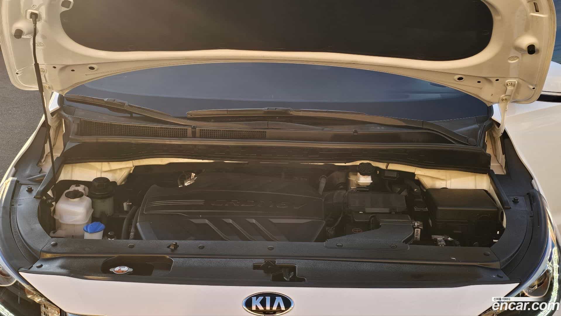 Canival Kia 2018.5-OPTION-024