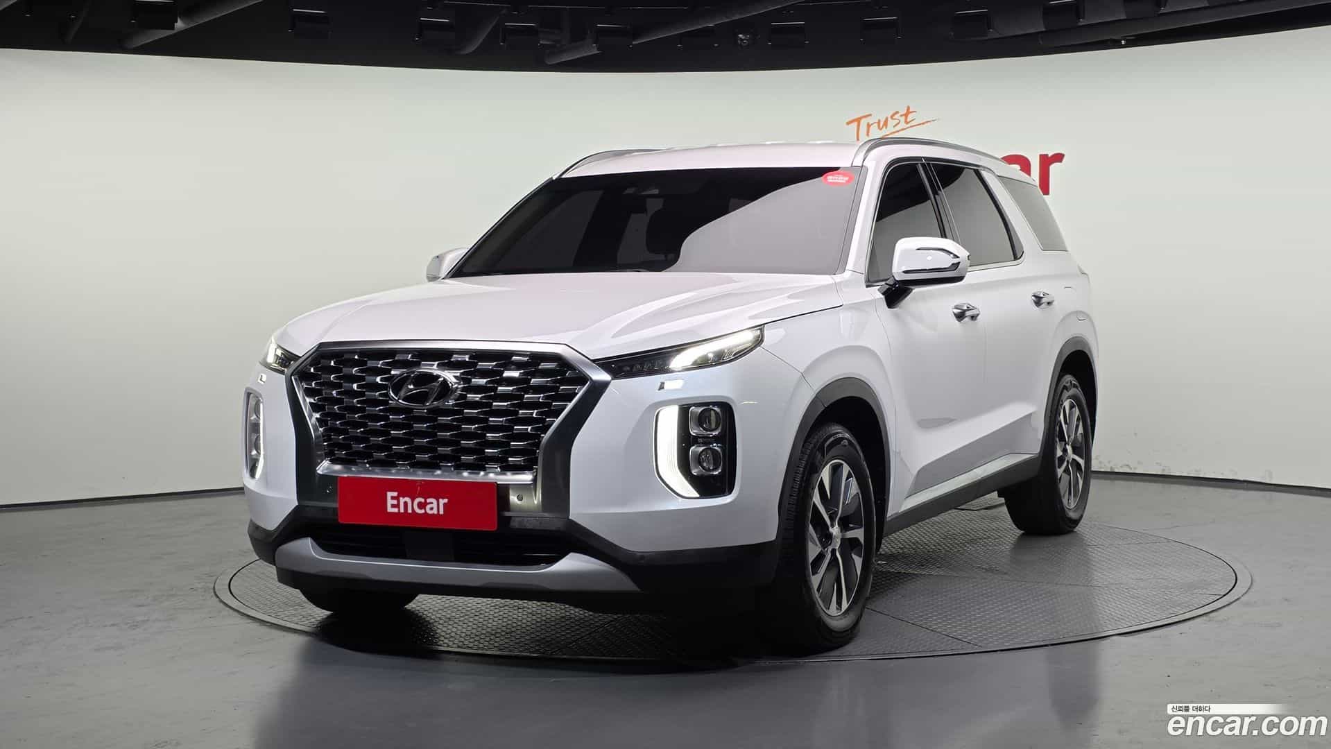 Palisade Hyundai 2020.6-OUTER-001