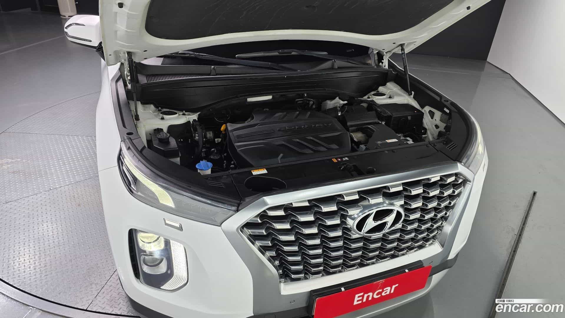 Palisade Hyundai 2020.6-OUTER-006