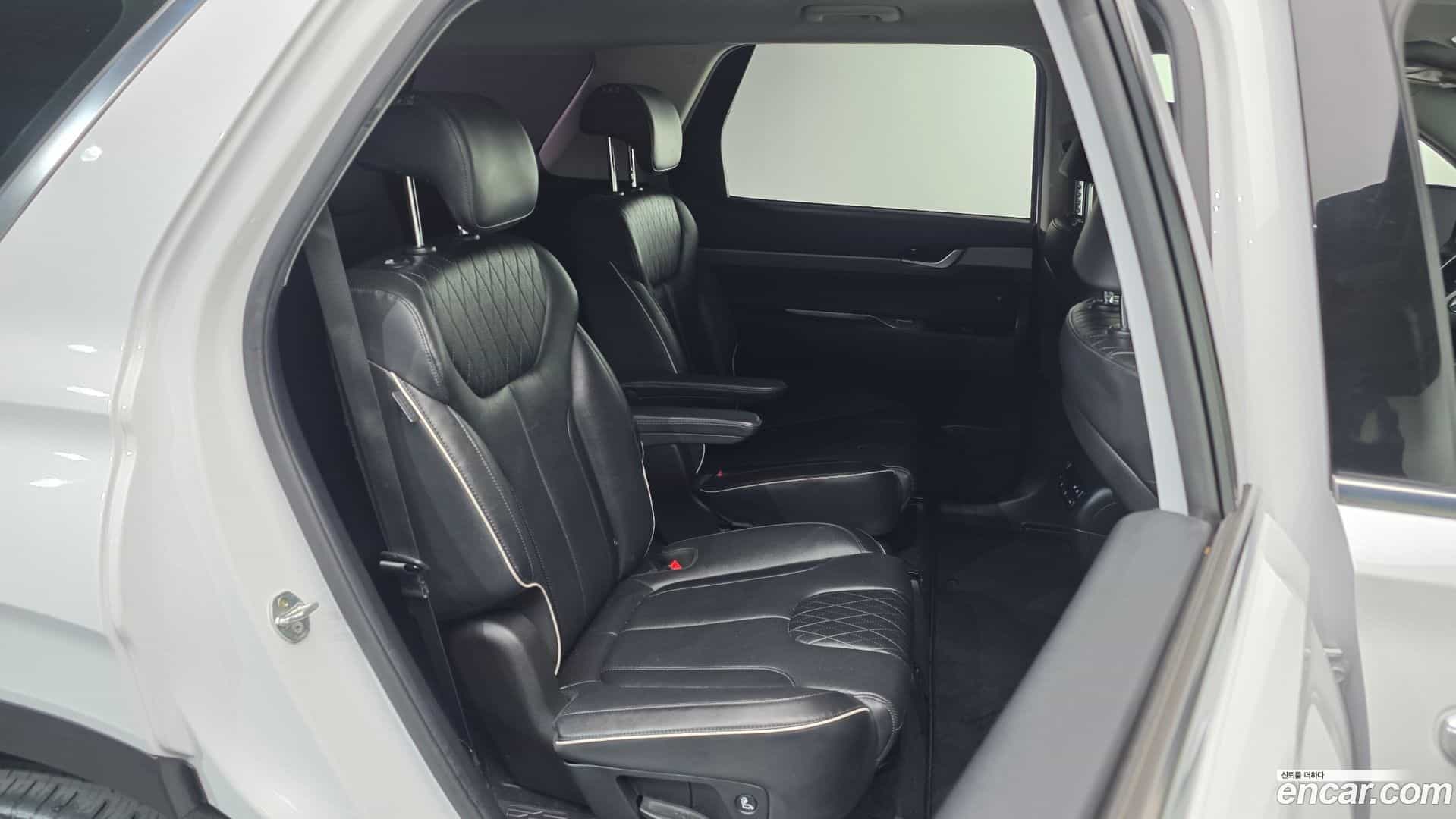 Palisade Hyundai 2020.6-OPTION-015
