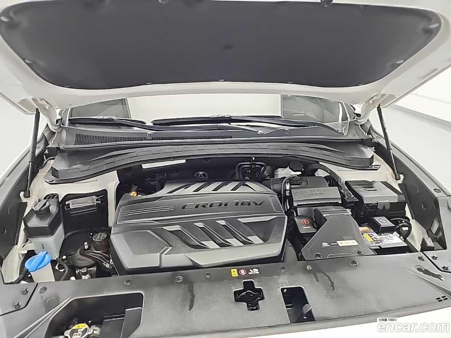 Santafe Hyundai 2018.4-OUTER-006