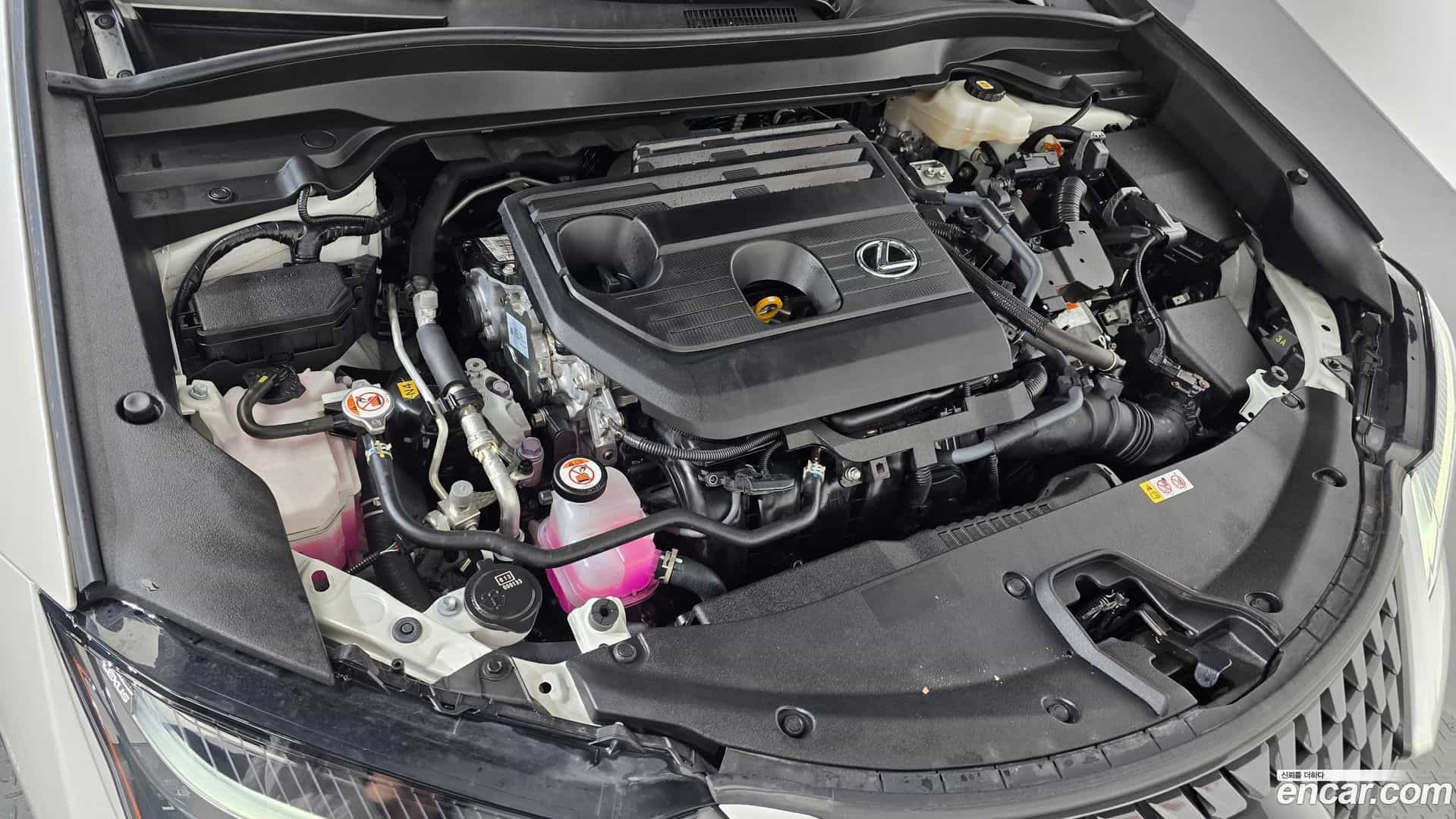 UX Lexus 2024.7-OUTER-006