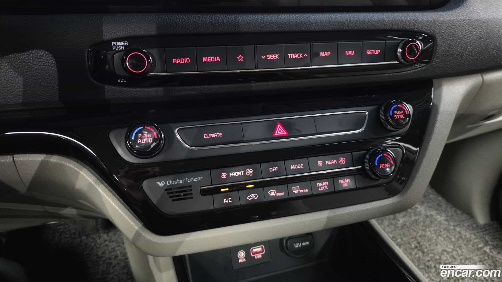 Canival Kia 2018.10-OPTION-020