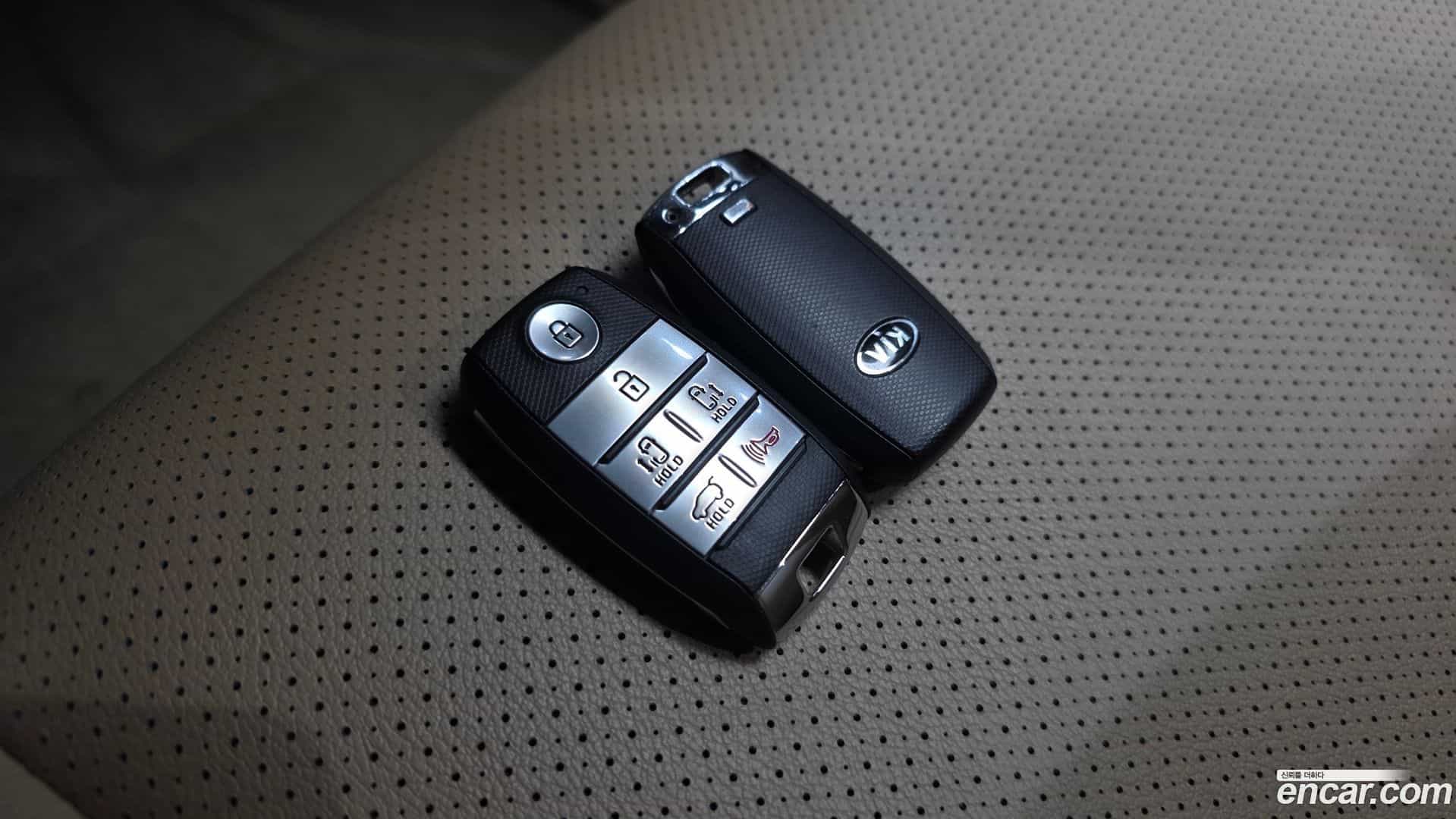 Canival Kia 2020.3-OPTION-022