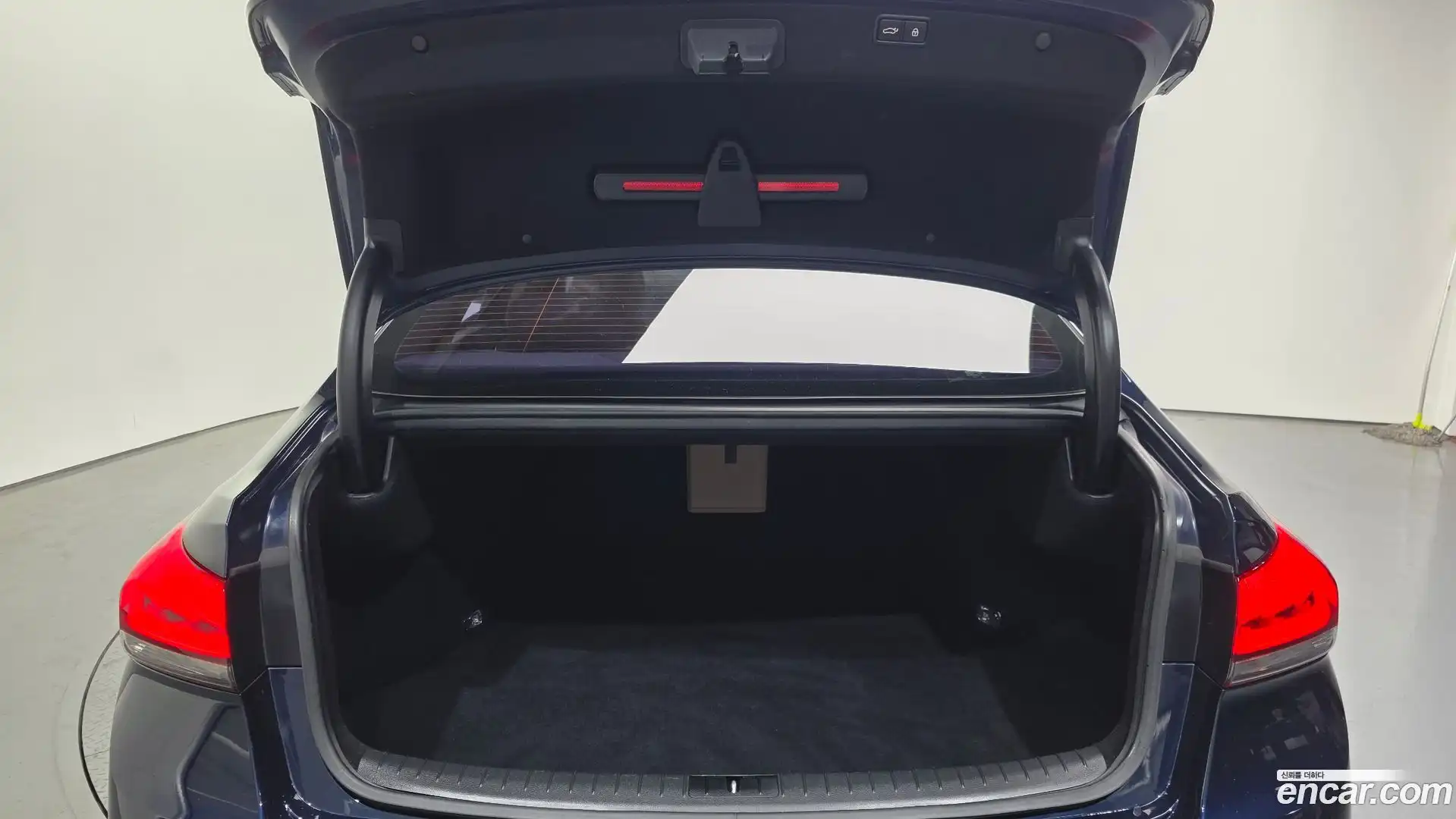 G80 Genesis 2019.3-OPTION-024