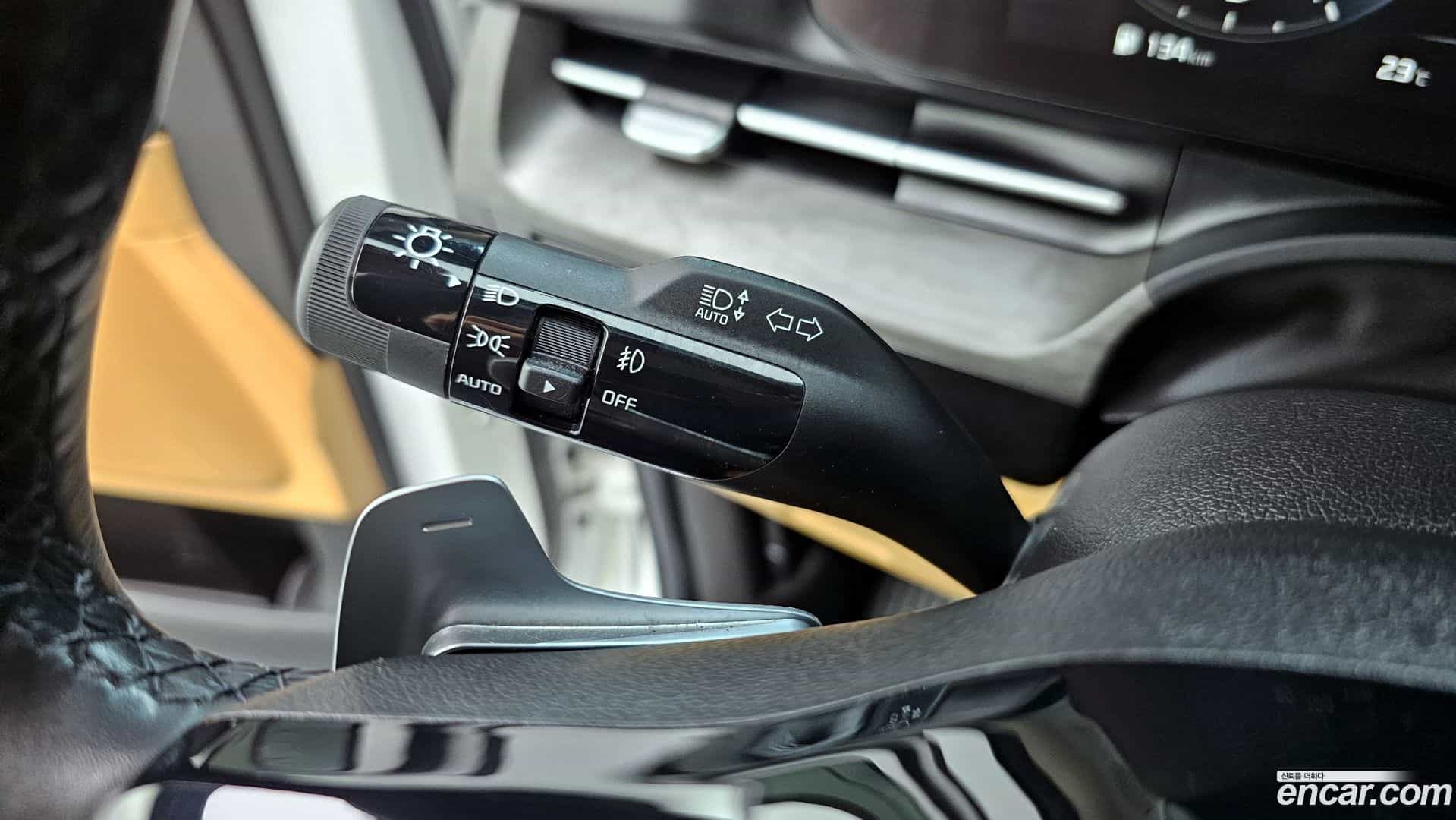 Canival Kia 2020.10-OPTION-022
