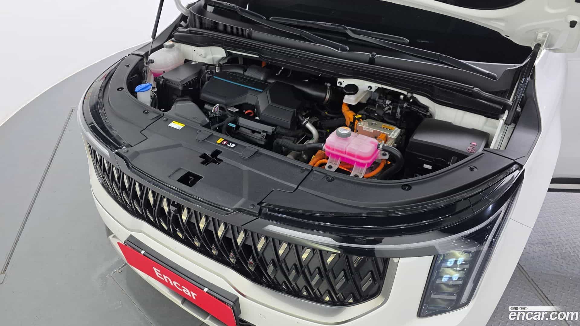 Canival Kia 2024.5-OUTER-006