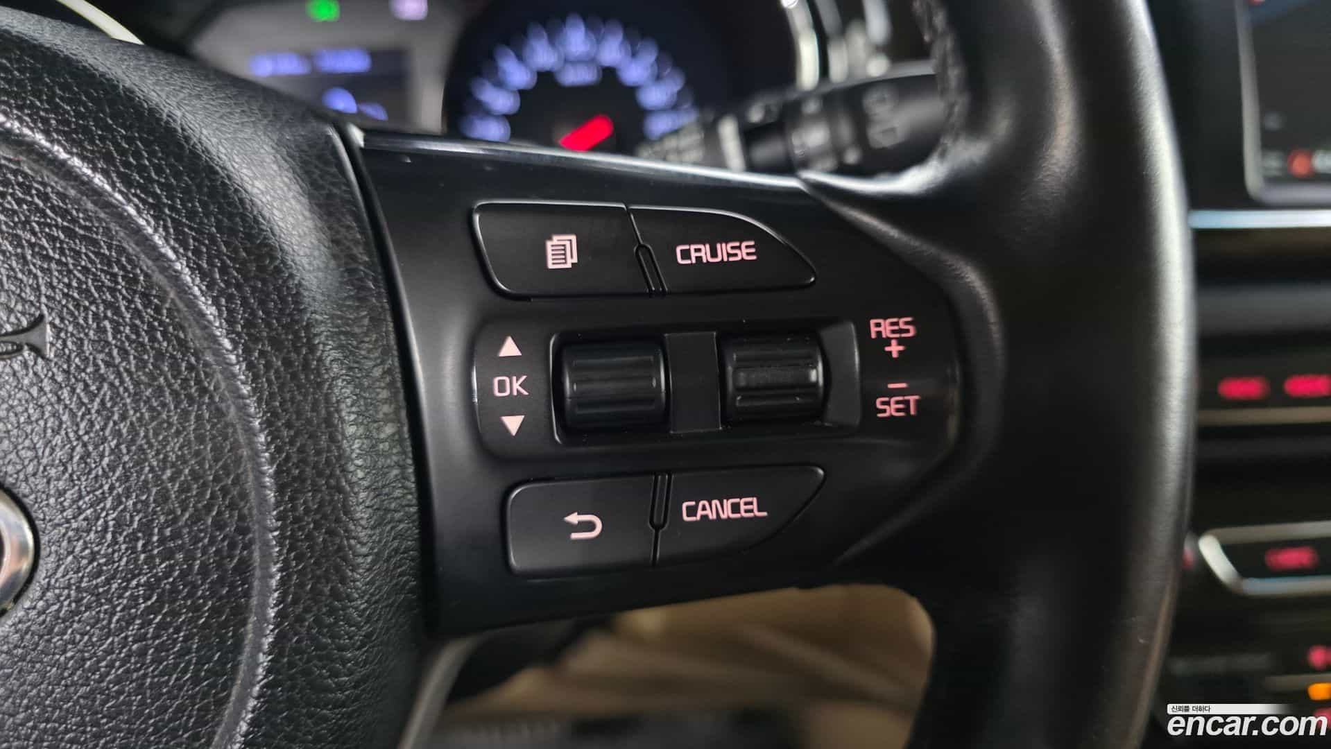 Canival Kia 2019.1-OPTION-020