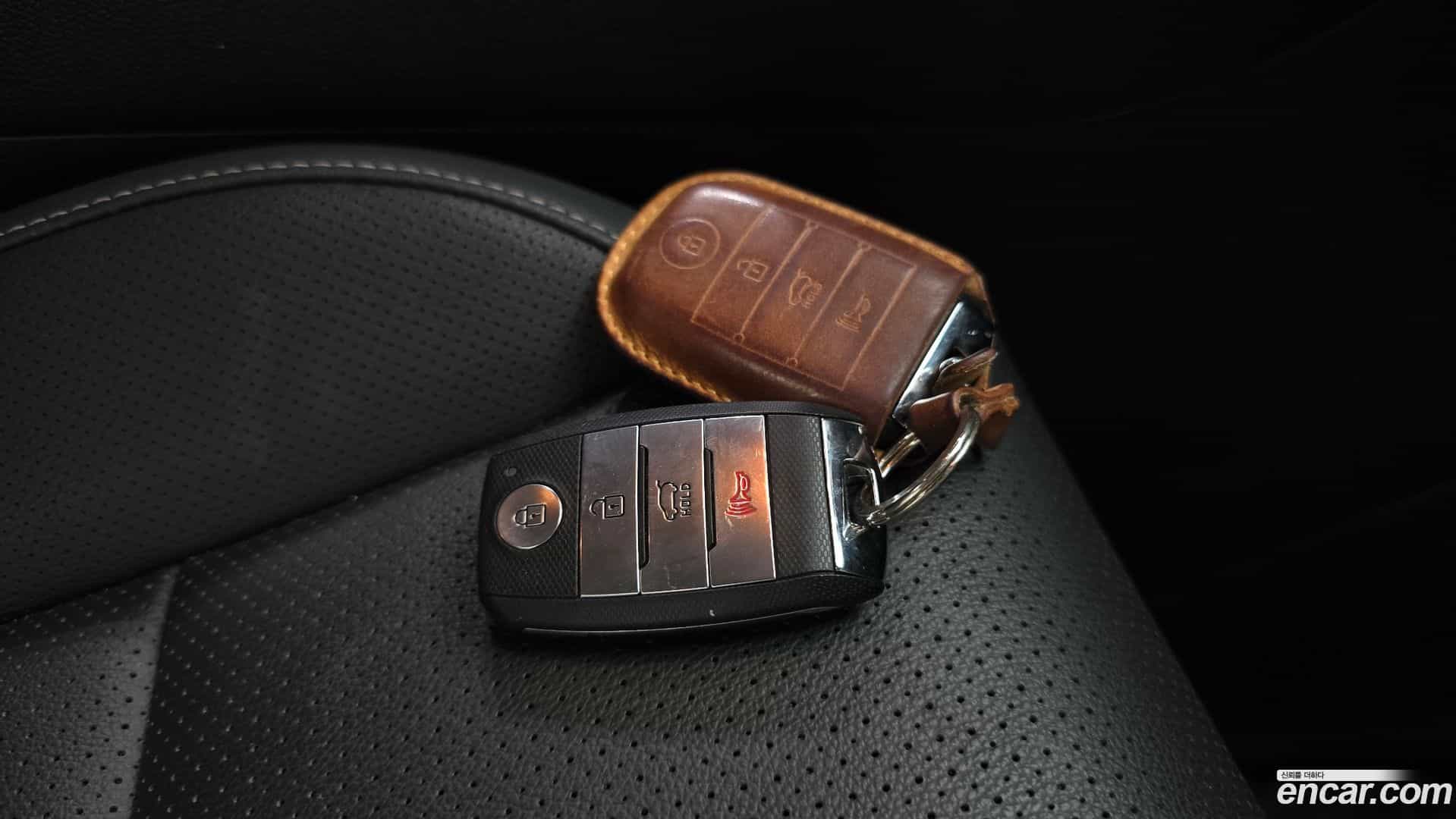 Sportage Kia 2019.5-OPTION-021