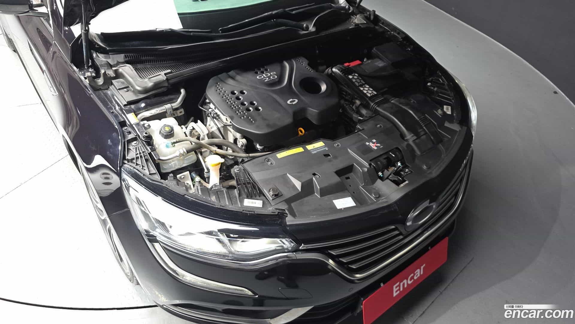 SM6 Renault Korea 2019.2-OUTER-006