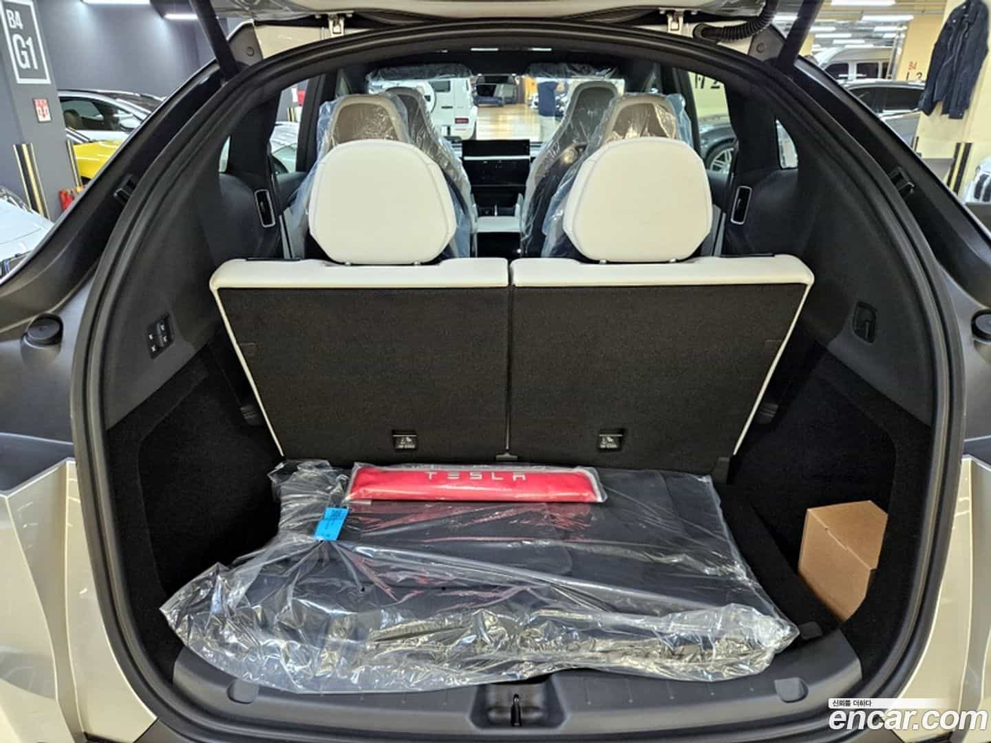 Model Y Tesla 2026.5-OPTION-019