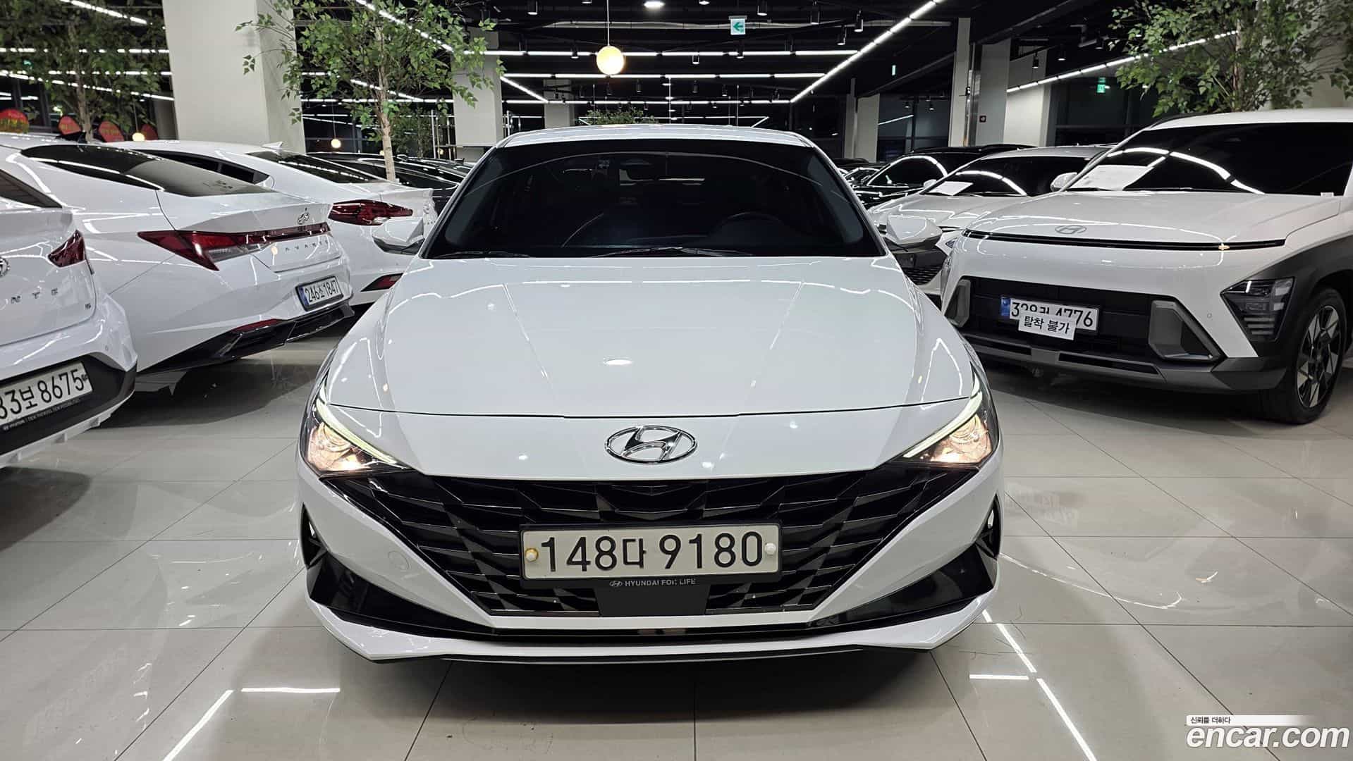AVANTE Hyundai 2020.5-OUTER-001