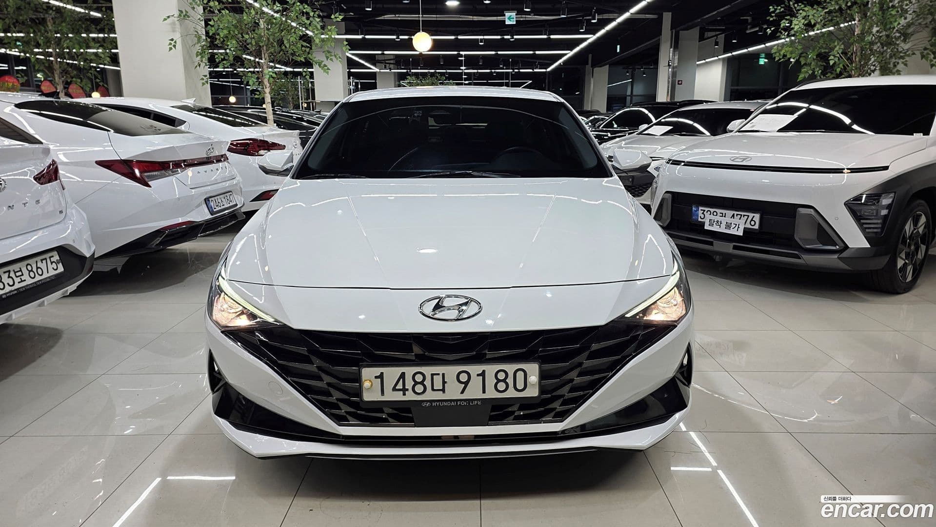 Main__Slider__Photo:AVANTE Hyundai 2020.5-0