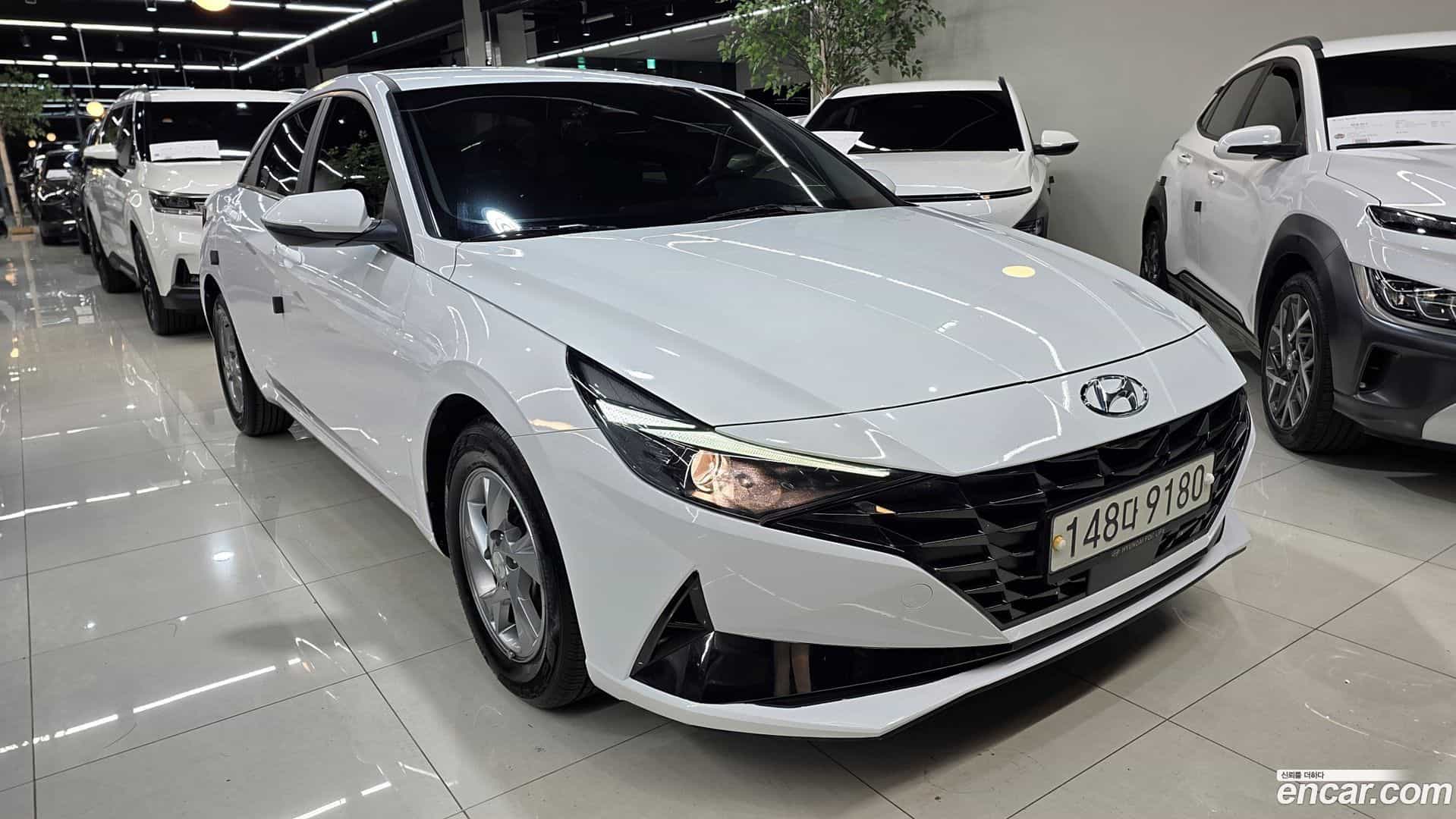 AVANTE Hyundai 2020.5-OUTER-003