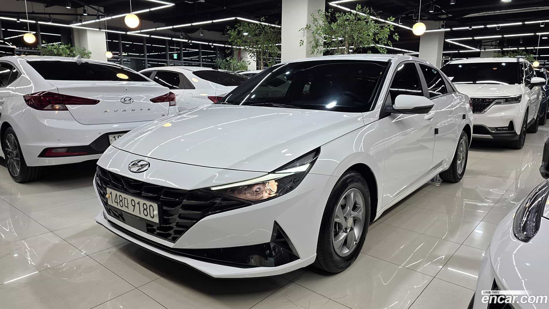 AVANTE Hyundai 2020.5-OUTER-004