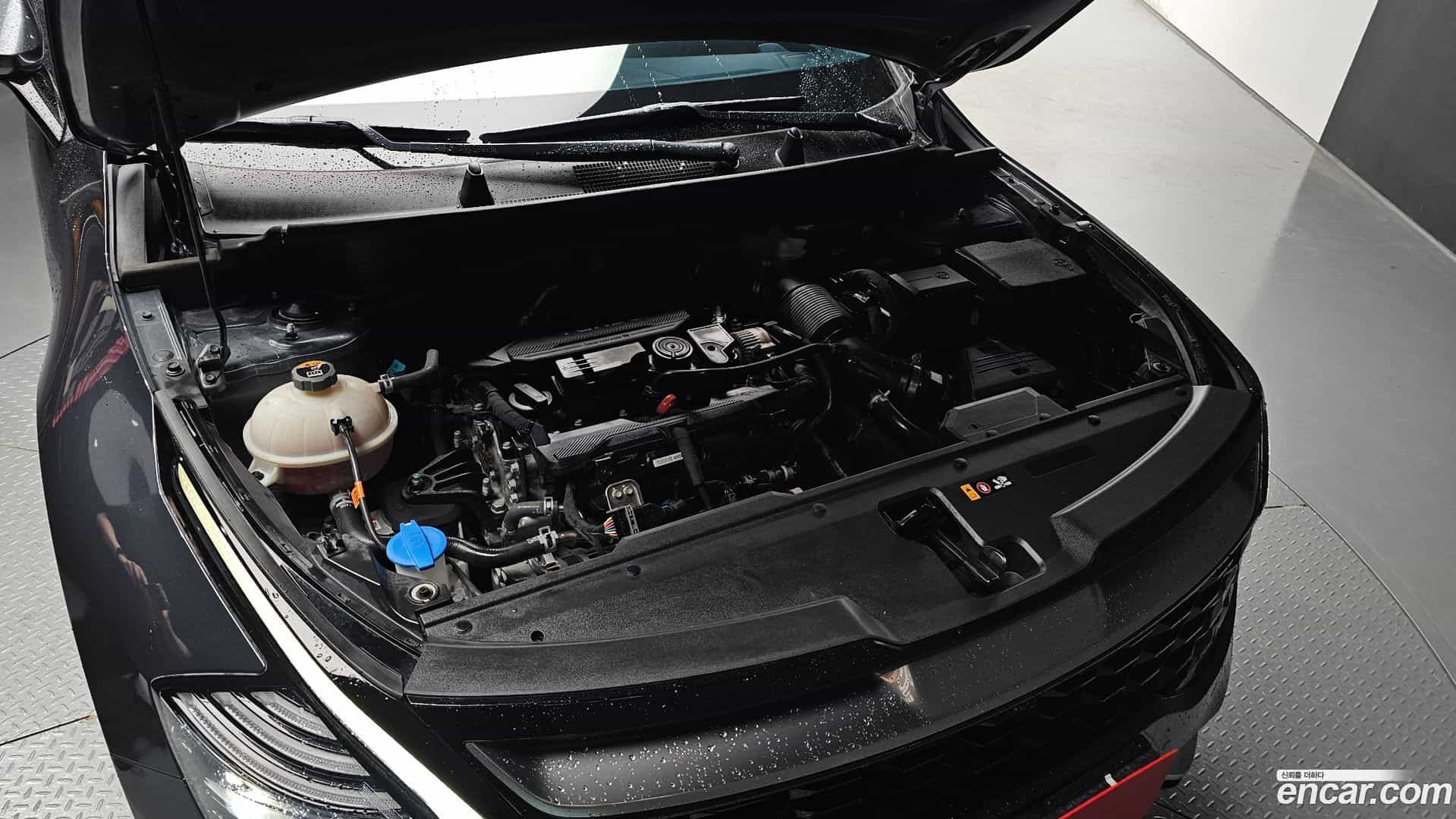 Sportage Kia 2023.5-OUTER-006