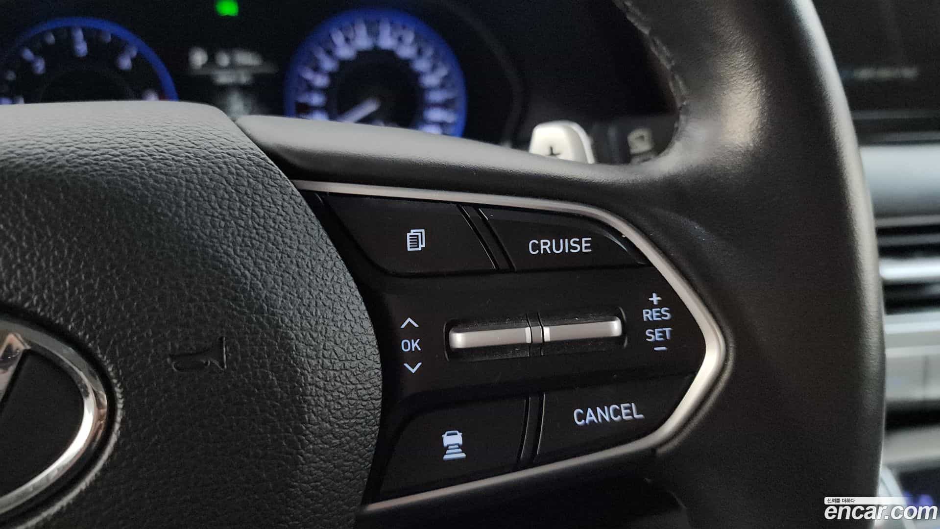 Palisade Hyundai 2019.0-OPTION-019