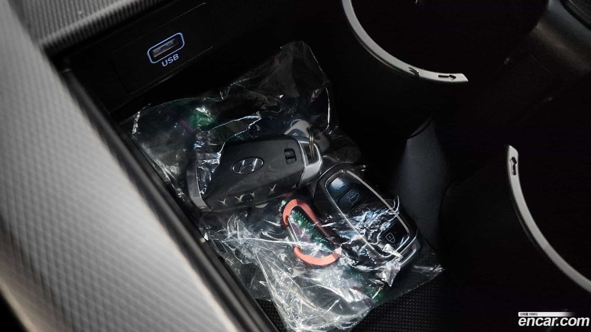 Palisade Hyundai 2019.0-OPTION-021