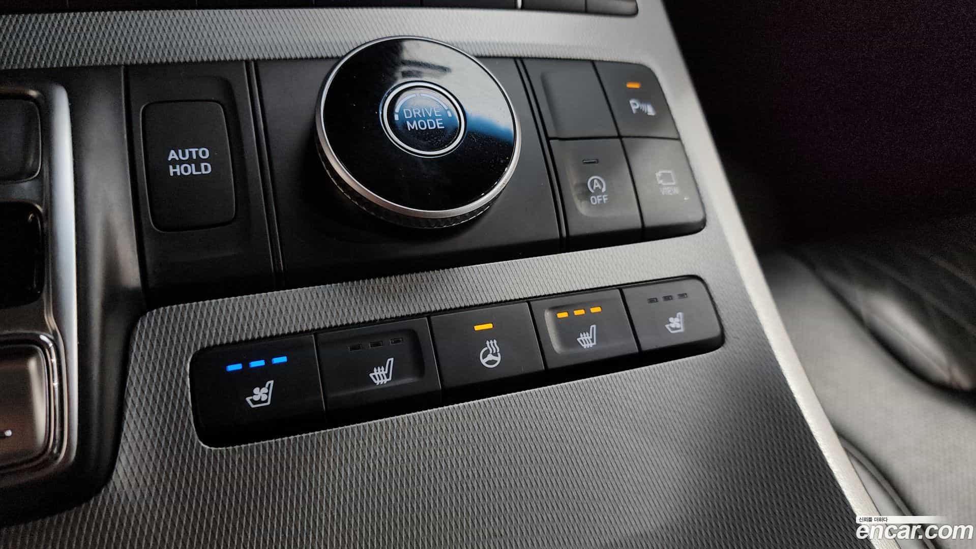 Palisade Hyundai 2019.0-OPTION-040