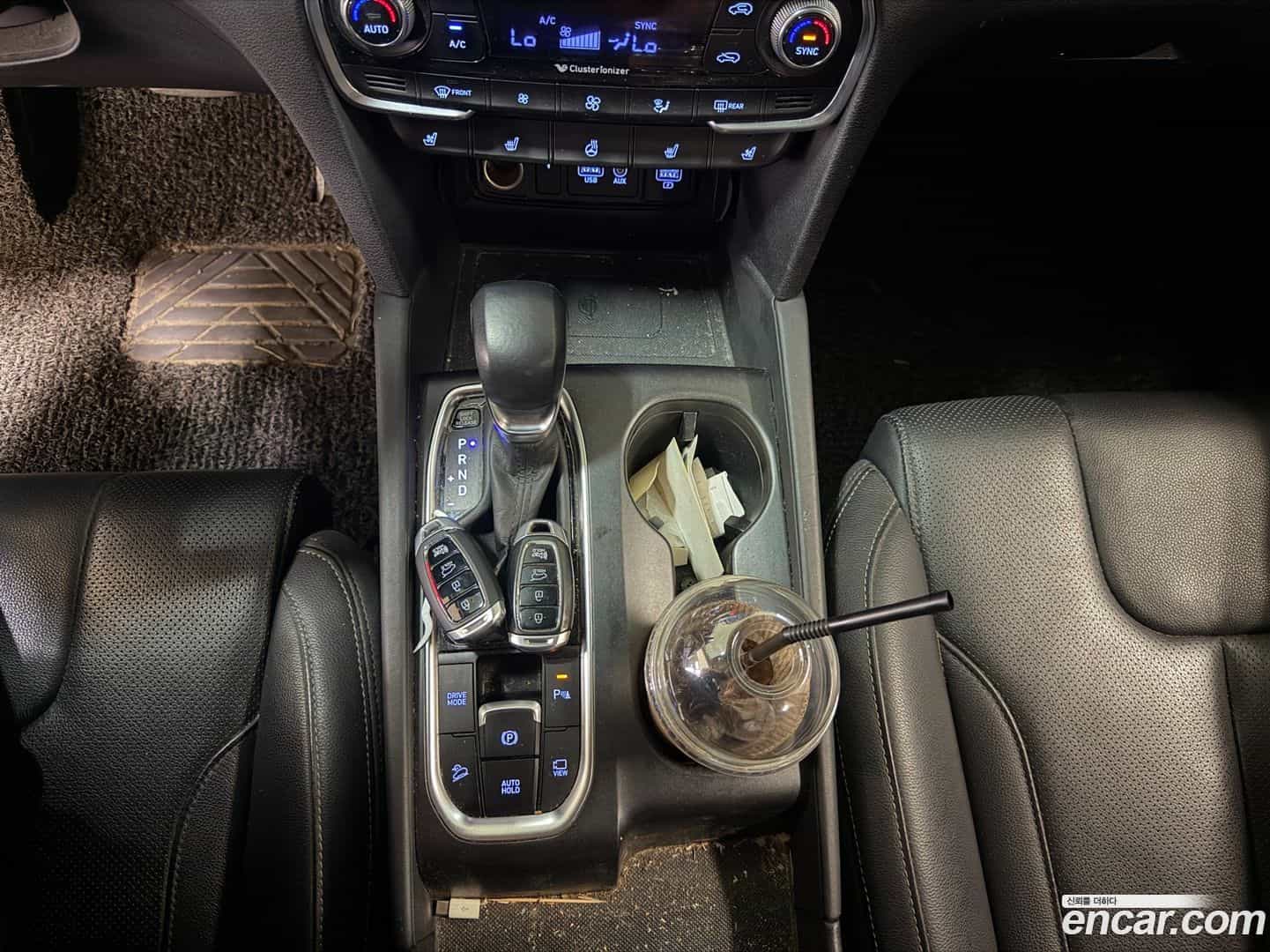 Santafe Hyundai 2019.0-OPTION-017