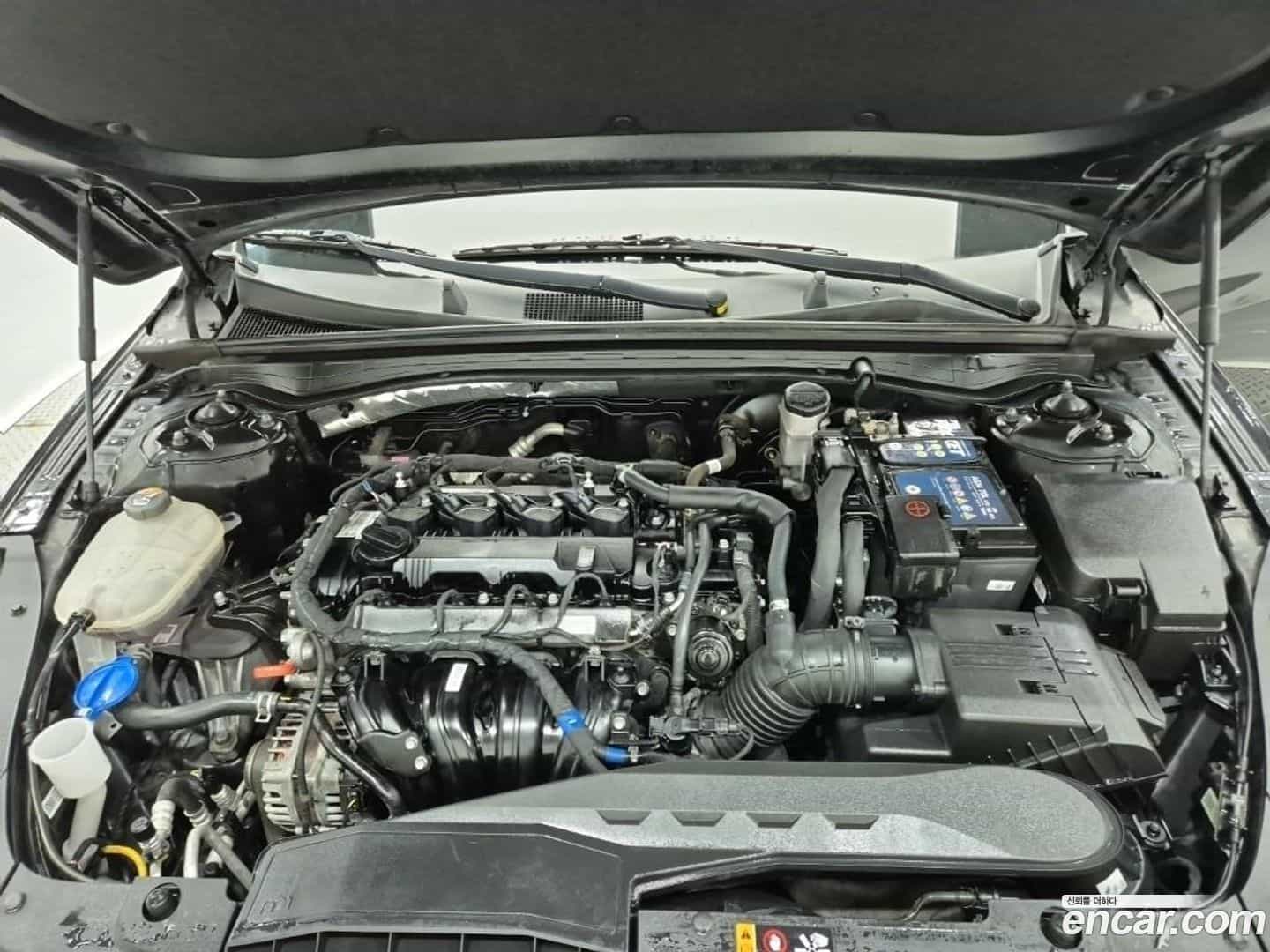 K5 Kia 2020.6-OPTION-022