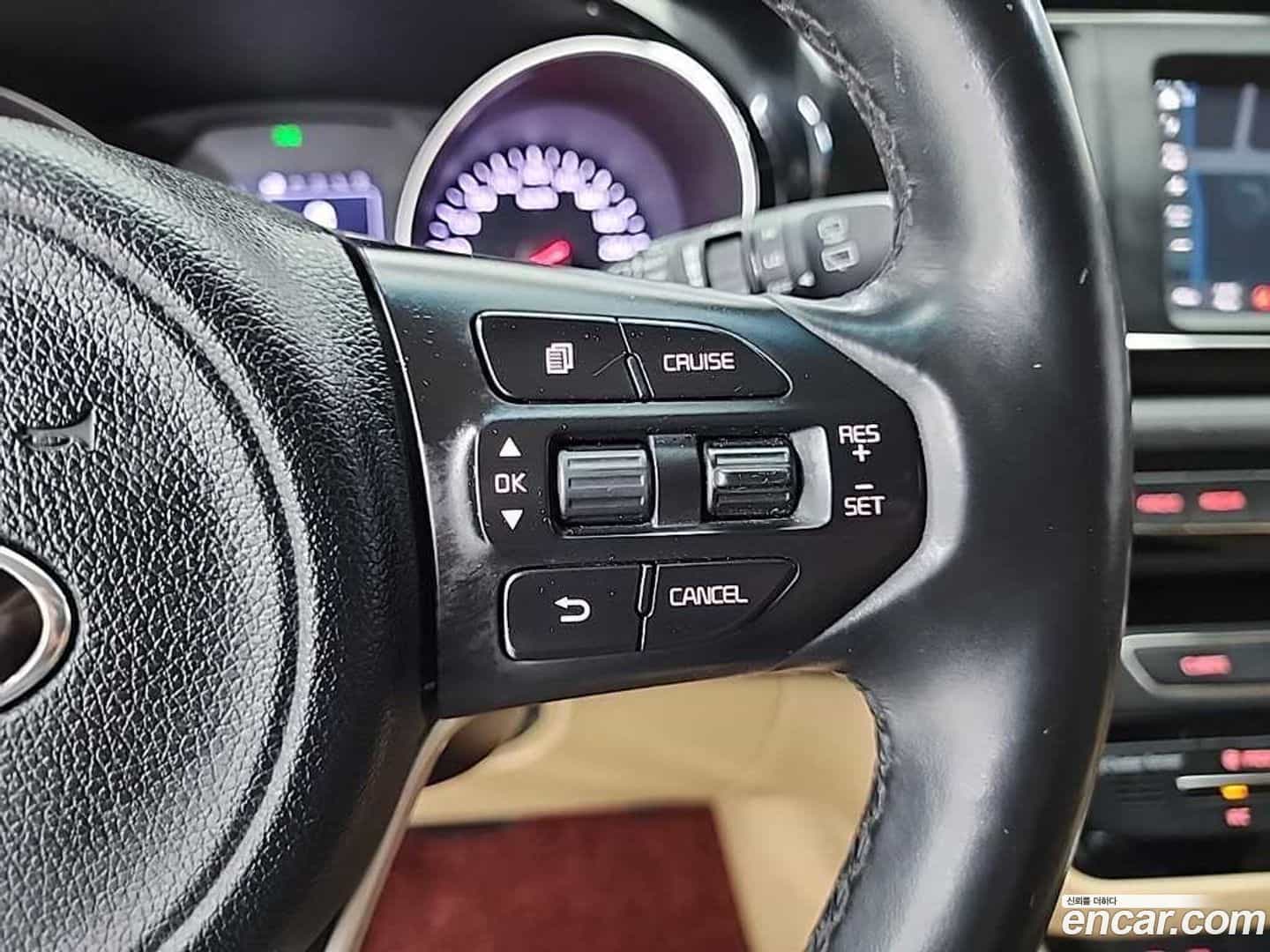 Canival Kia 2018.0-OPTION-022