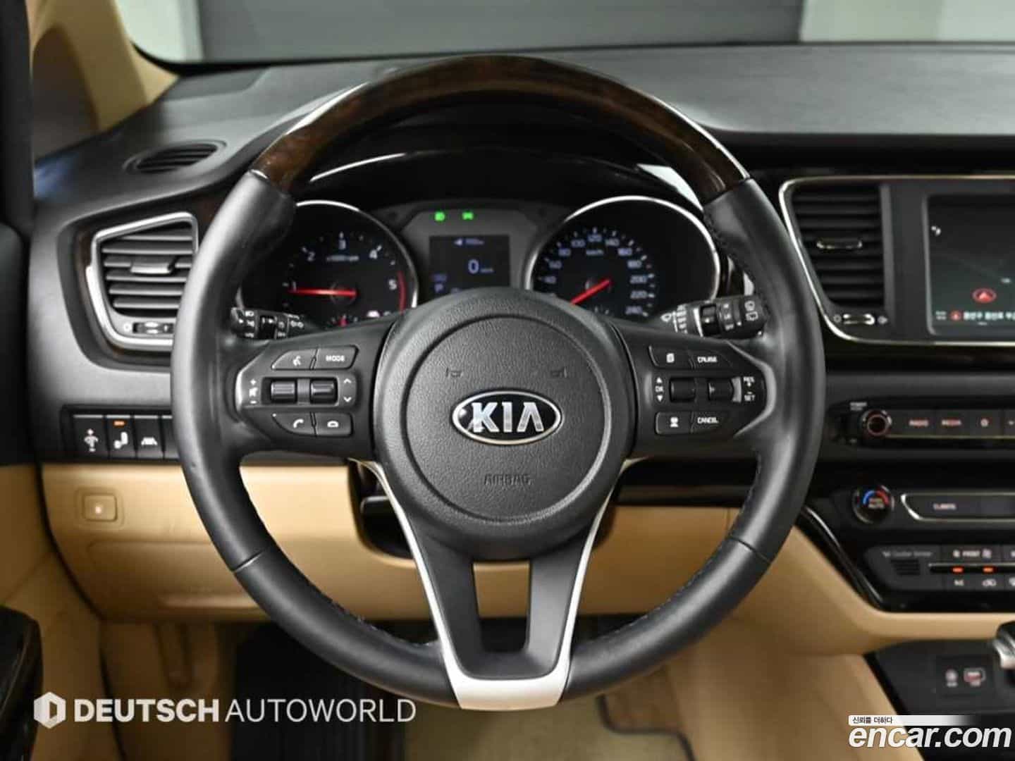 Canival Kia 2019.5-OPTION-018