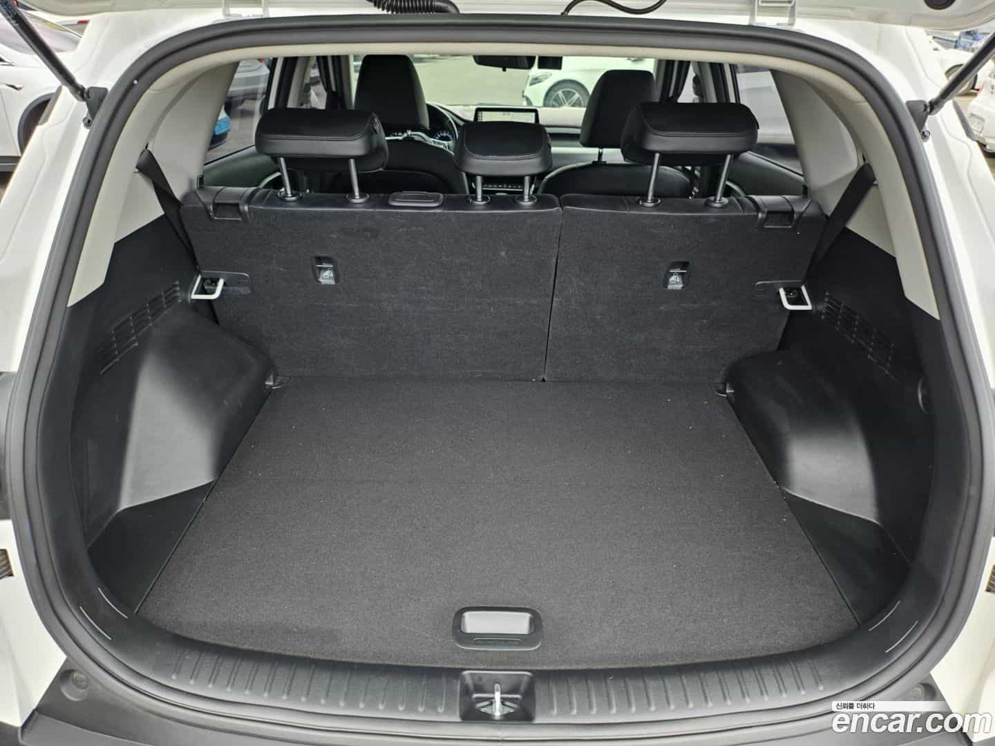 Seltos Kia 2019.8-OPTION-020