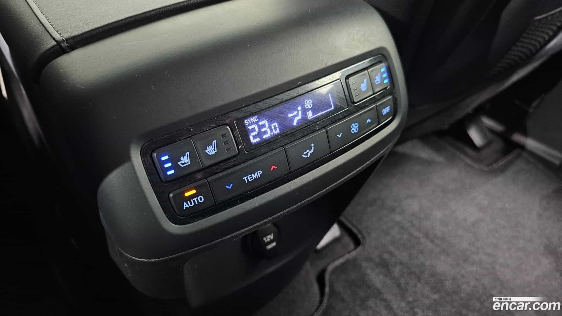 Palisade Hyundai 2020.4-OPTION-021