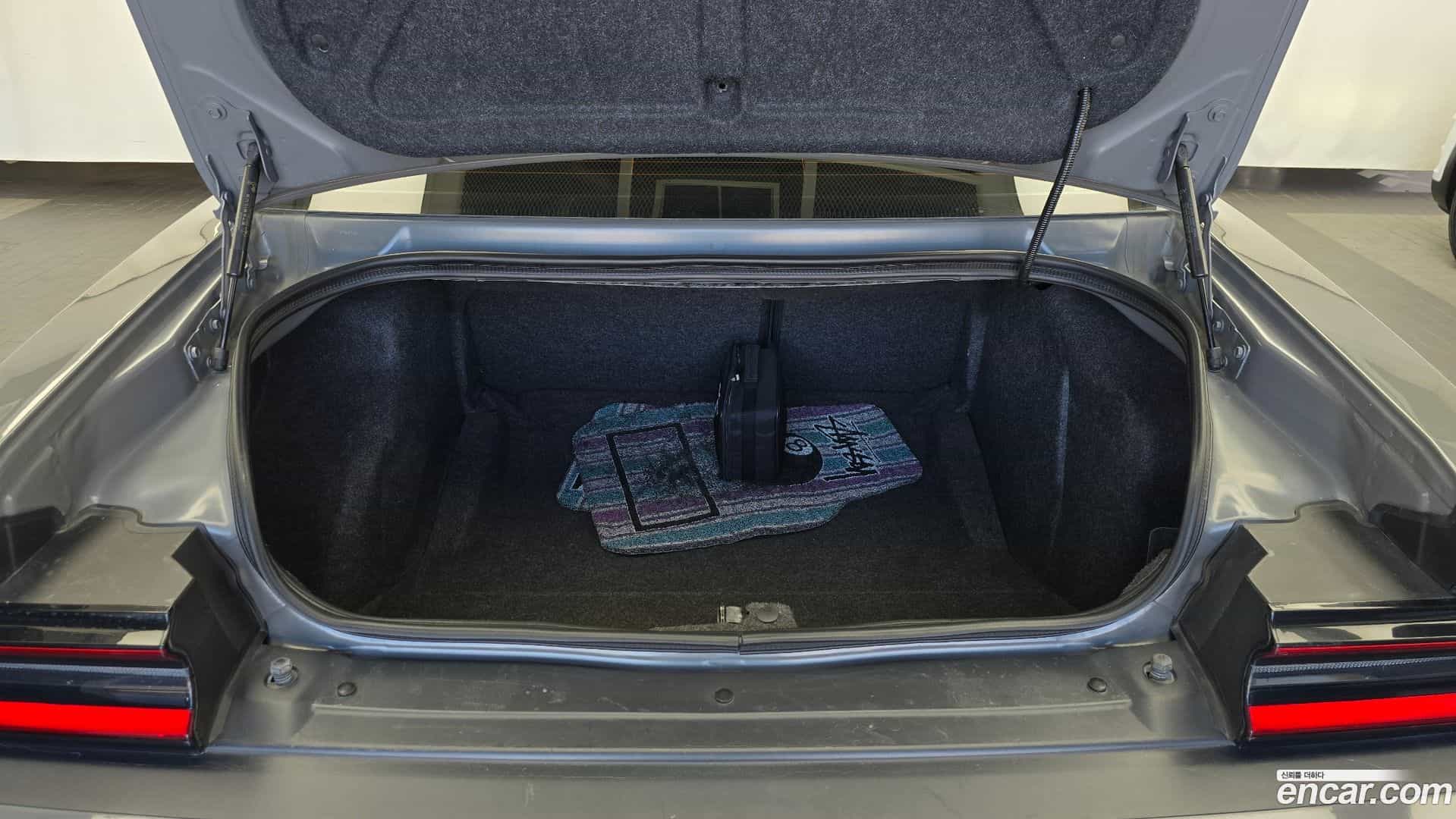 Challenger Dodge 2019.11-OPTION-024