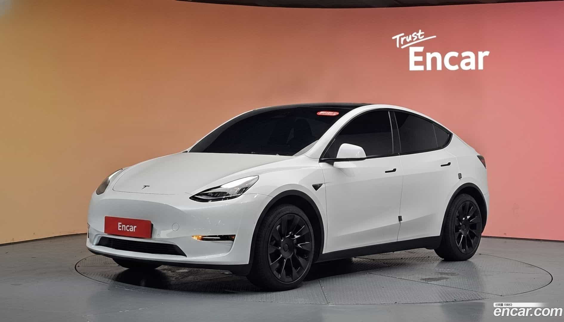 Model Y Tesla 2021.4-DIAG2-001