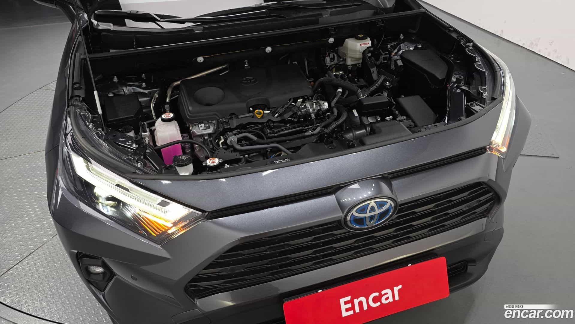 RAV4 Toyota 2024.10-OUTER-006