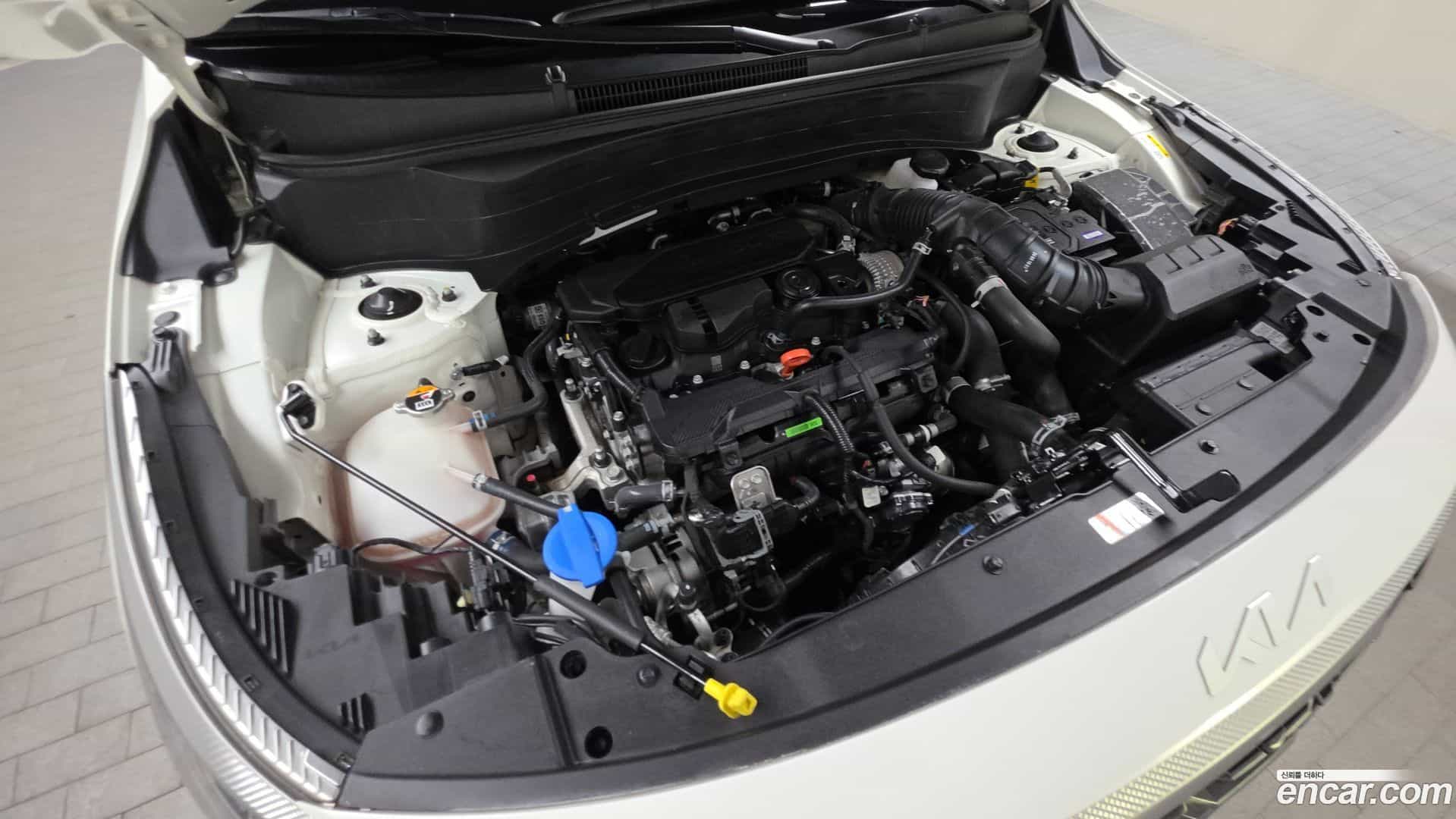 Seltos Kia 2024.6-OUTER-006