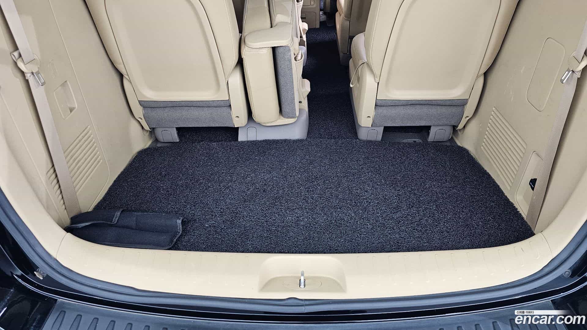 Canival Kia 2019.5-OPTION-020