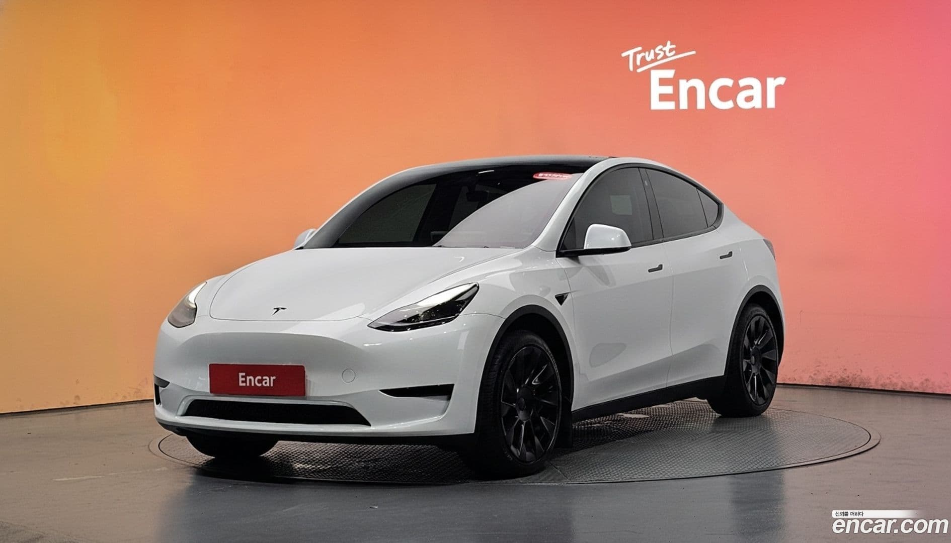 Main__Slider__Photo:Model Y Tesla 2023.8-0