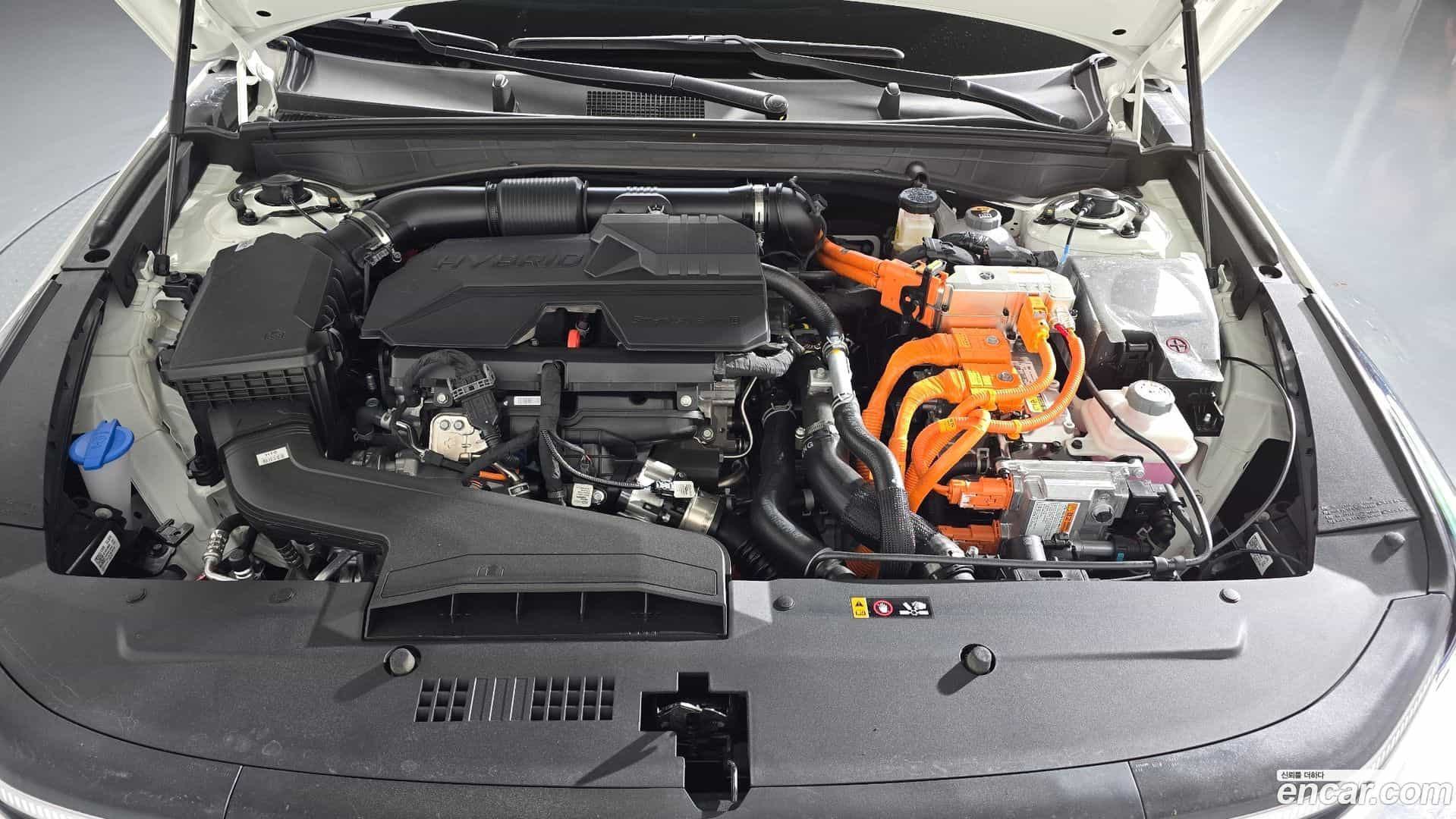 K8 Kia 2026.4-OUTER-006