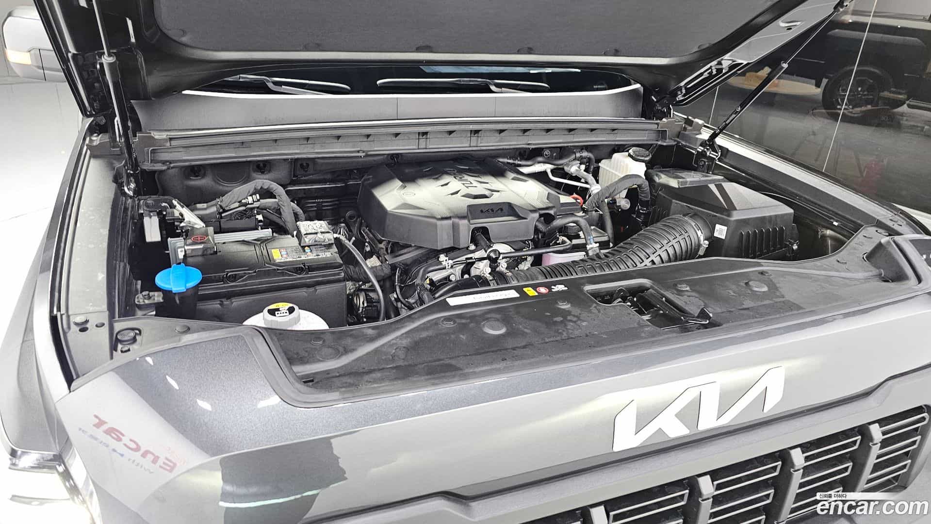 Tasman Kia 2025.11-OUTER-006