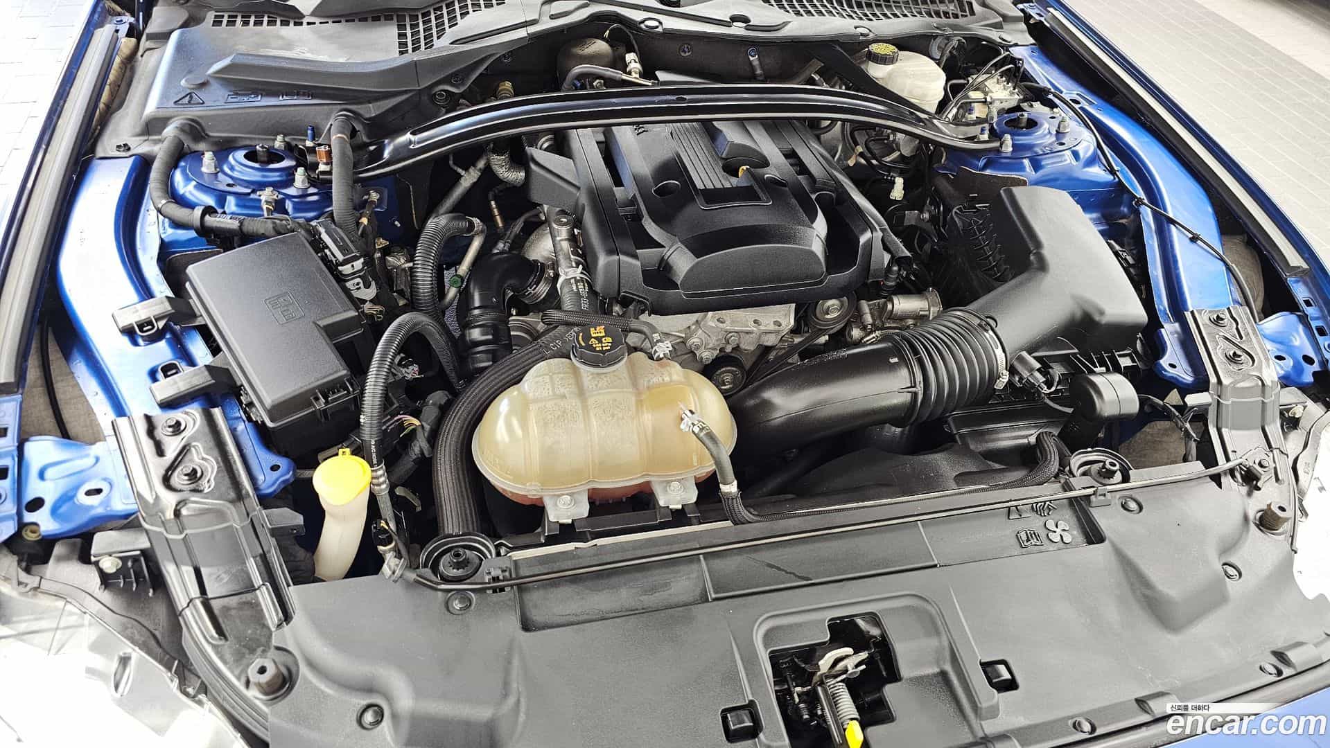 Mustang Ford 2018.3-OUTER-006