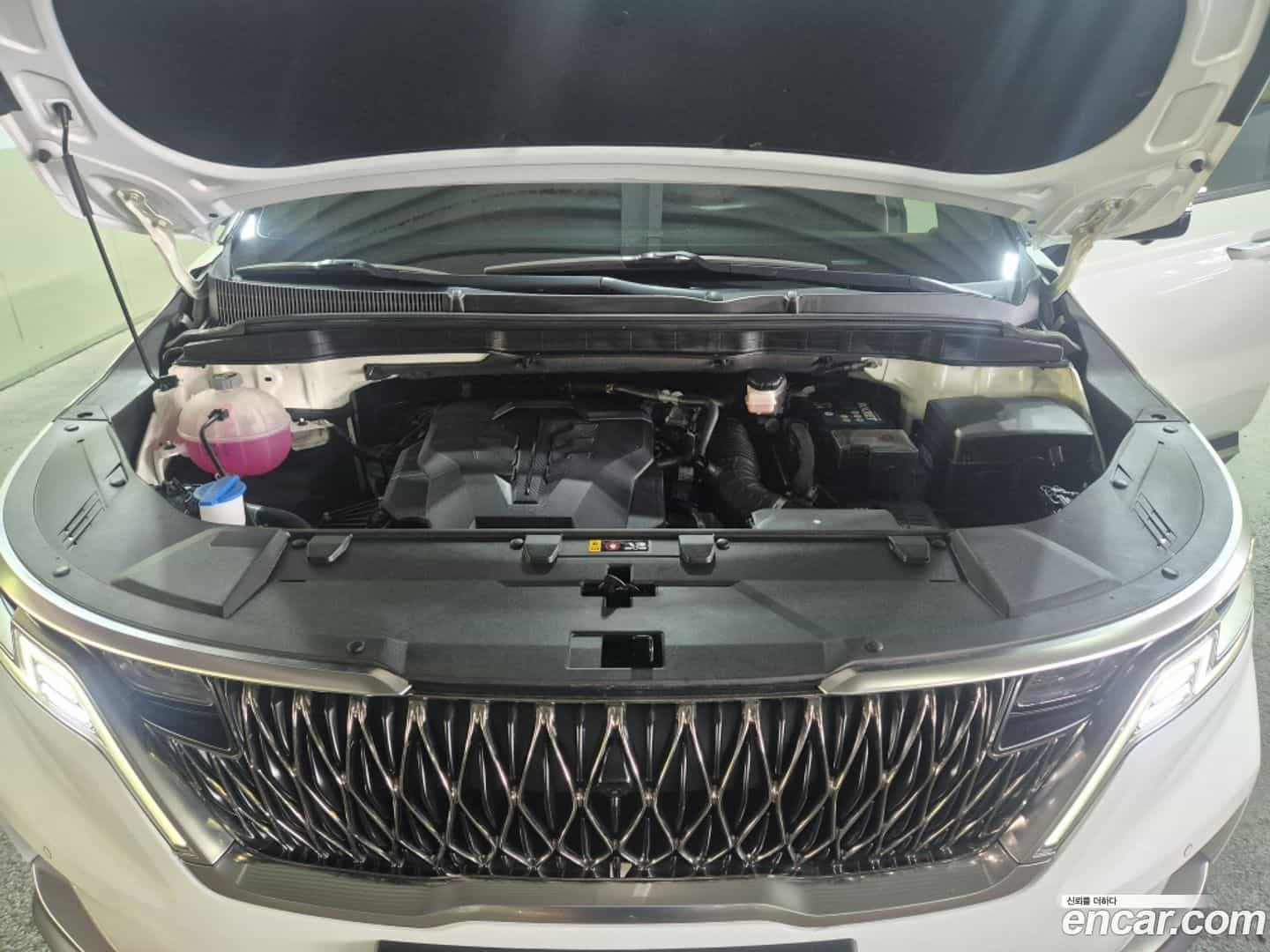 Canival Kia 2021.9-OPTION-024